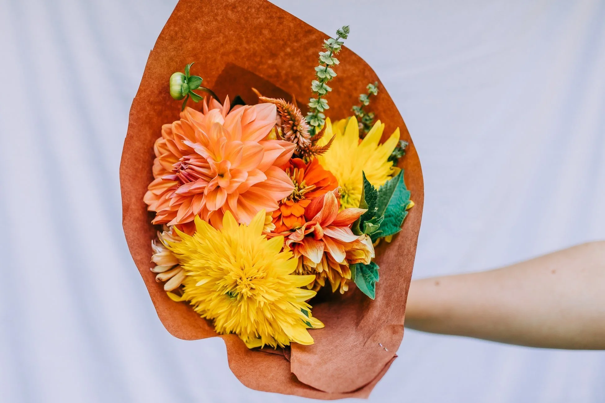 Heirloom Fresh Flowers Putnam Valley Florist and Flower Farm