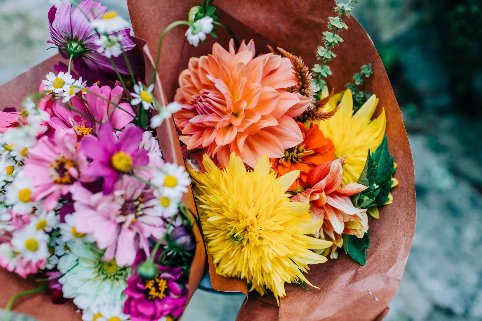 Wrapped Bouquets - Photo by Stephanie Lozano