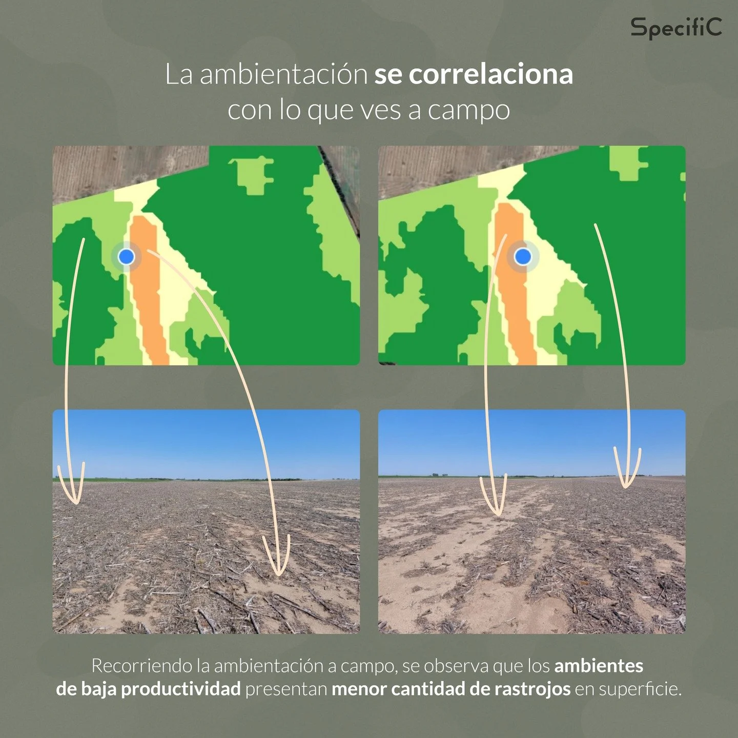 📊 &iquest;Est&aacute;s buscando m&aacute;s eficiencia?

Con SpecifiC pod&eacute;s ambientar tus lotes y descubrir la heterogeneidad que marca la diferencia en los resultados.

✅ Invert&iacute; donde se transforma en granos.
✅ Ahorr&aacute; donde la 