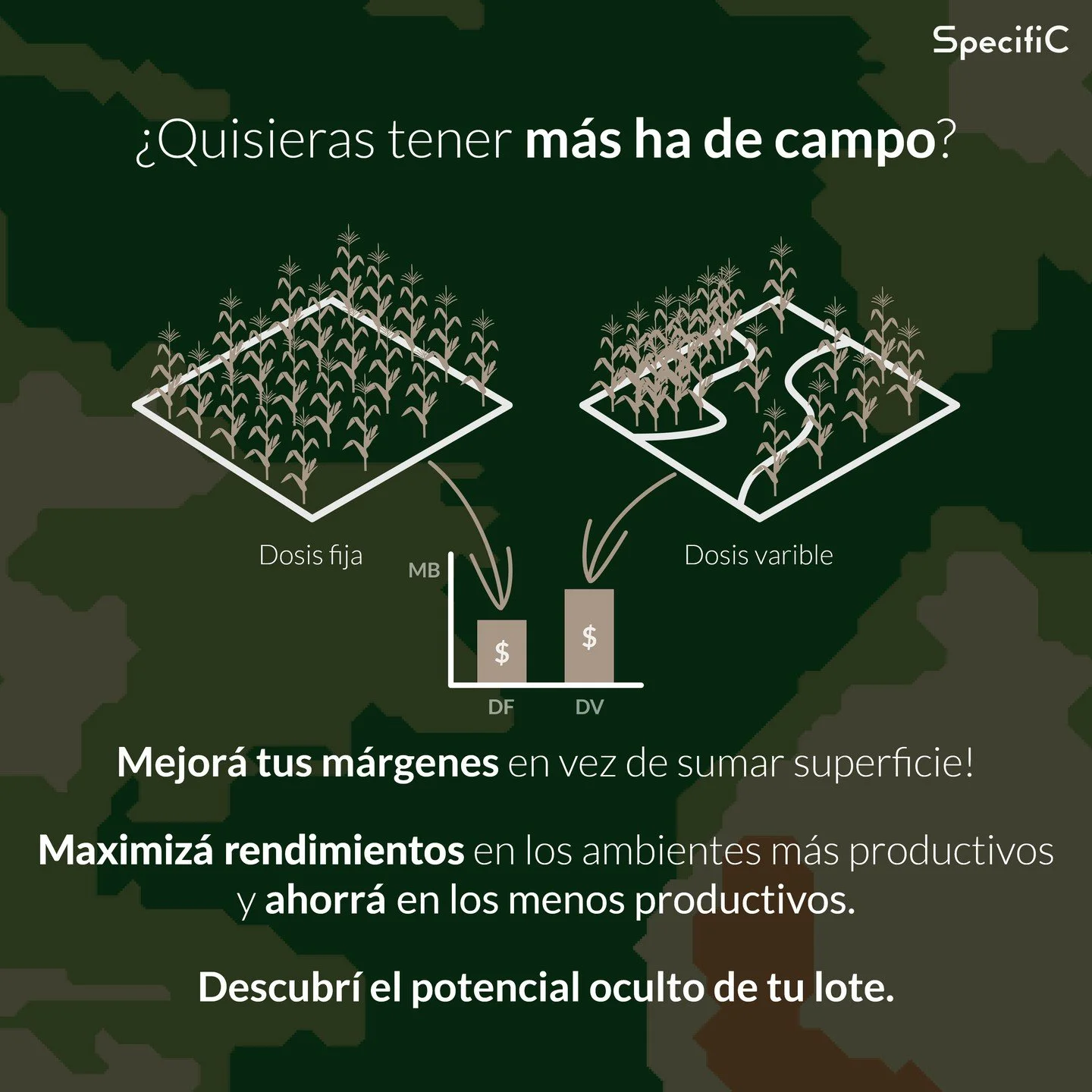 🌱 &iquest;M&aacute;s hect&aacute;reas?

No necesit&aacute;s sembrar m&aacute;s hect&aacute;reas, necesit&aacute;s hacer rendir m&aacute;s las que ya ten&eacute;s!

Con dosis variable:
✅ Maximiz&aacute;s rindes en los ambientes de alto potencial
✅ Ah