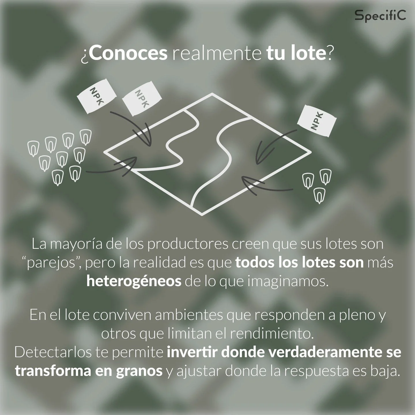 🌽 &iquest;Conoces realmente tu lote?

🛰️ Tu lote cambia cuando lo mir&aacute;s con datos: aparecen ambientes con mayor potencial y otros en los que es preferible no invertir tanto.

Ambientando tu lote pod&eacute;s:

👉 Dirigir insumos donde se con