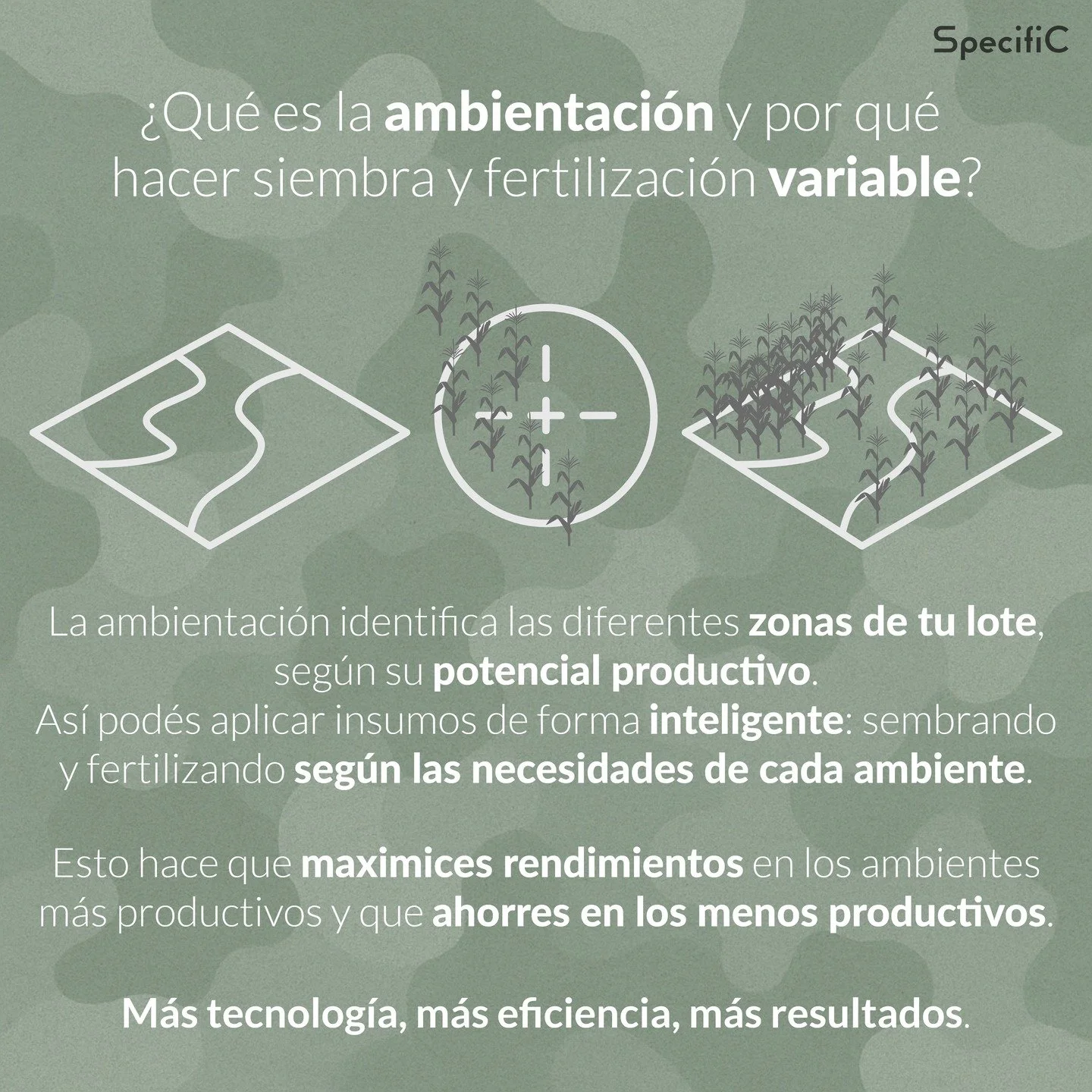🌱 Cada metro de tu lote cuenta!

Con la ambientaci&oacute;n descubr&iacute;s en que zonas tu suelo rinde al m&aacute;ximo y en cuales conviene ahorrar insumos.

🔍 Identific&aacute; zonas &rarr; 📈 Aument&aacute; rendimiento &rarr; 💰 Reduc&iacute; 
