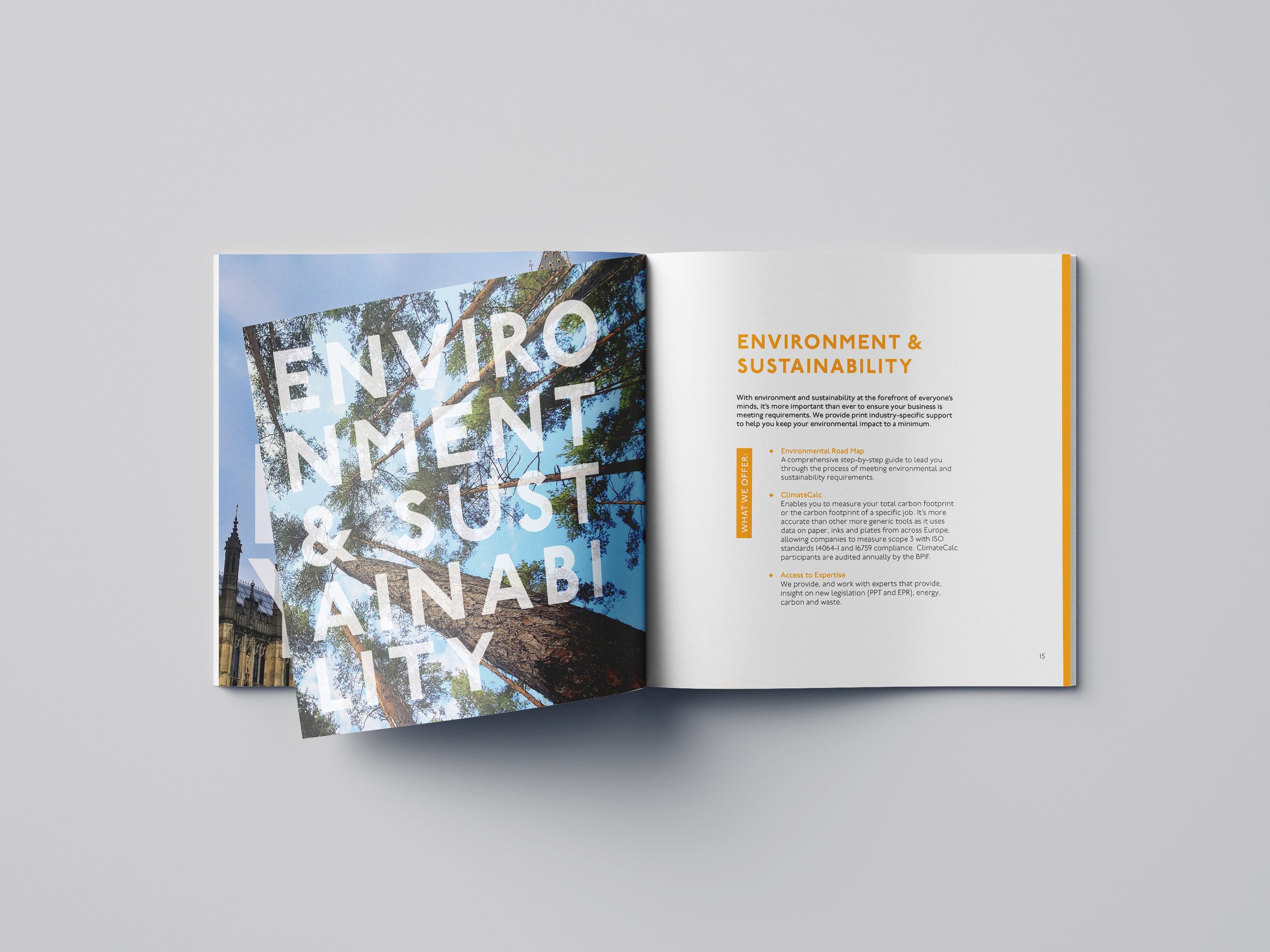 Free_Square_Brochure_Mockup_05 copy.jpg