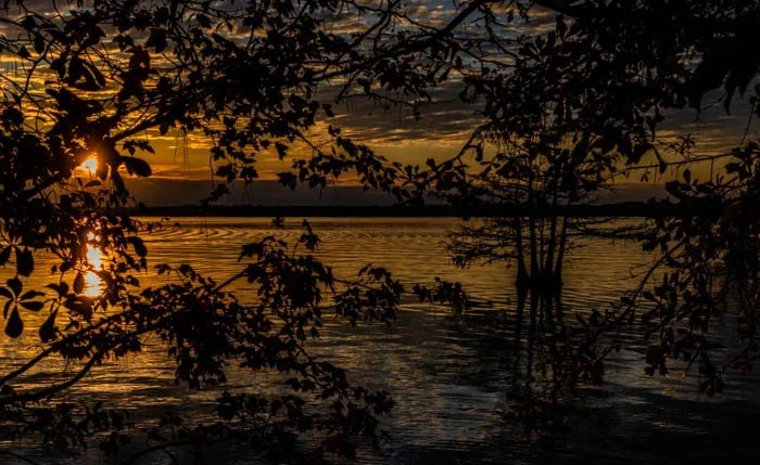 MartinDies_4WM (1 of 1).jpg