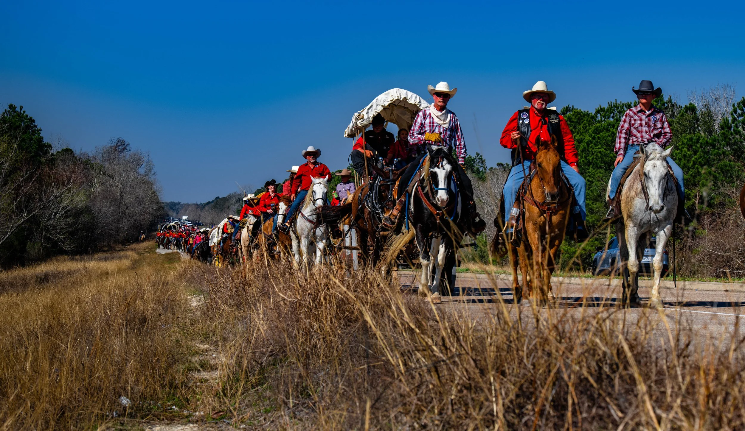 Saltgrass_CR1 (1 of 1).jpg
