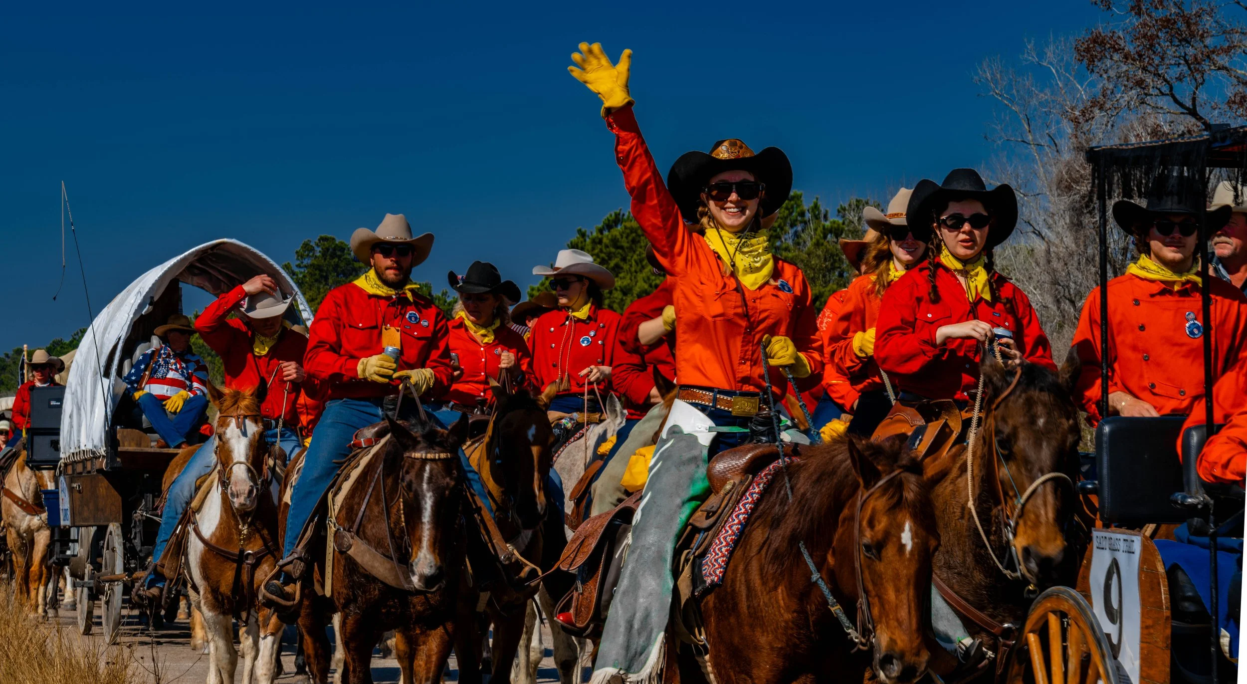 Saltgrass_CR11 (1 of 1).jpg