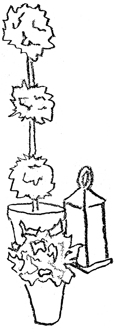 plant.png