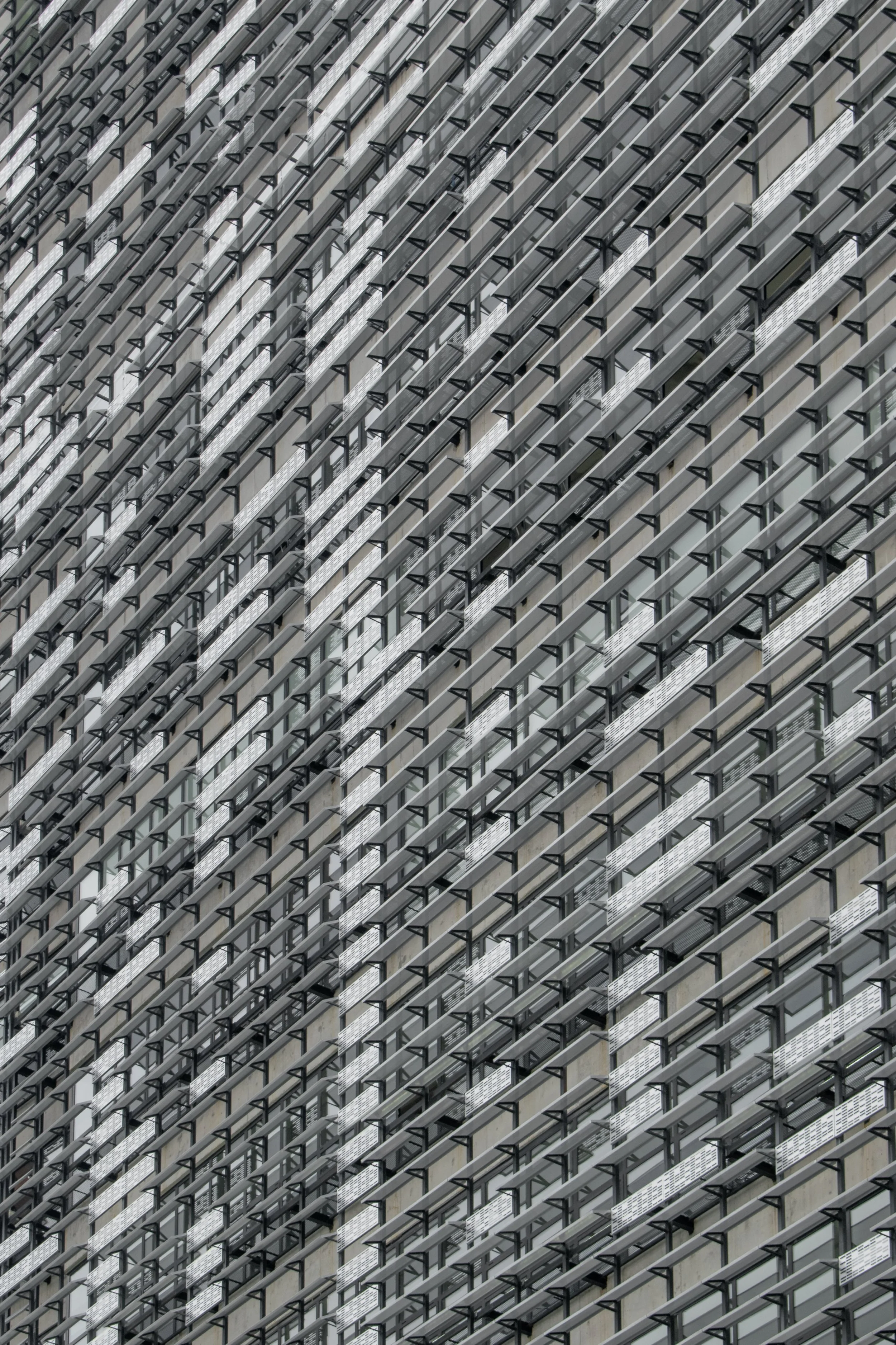 DSC_0454-HDR.jpg