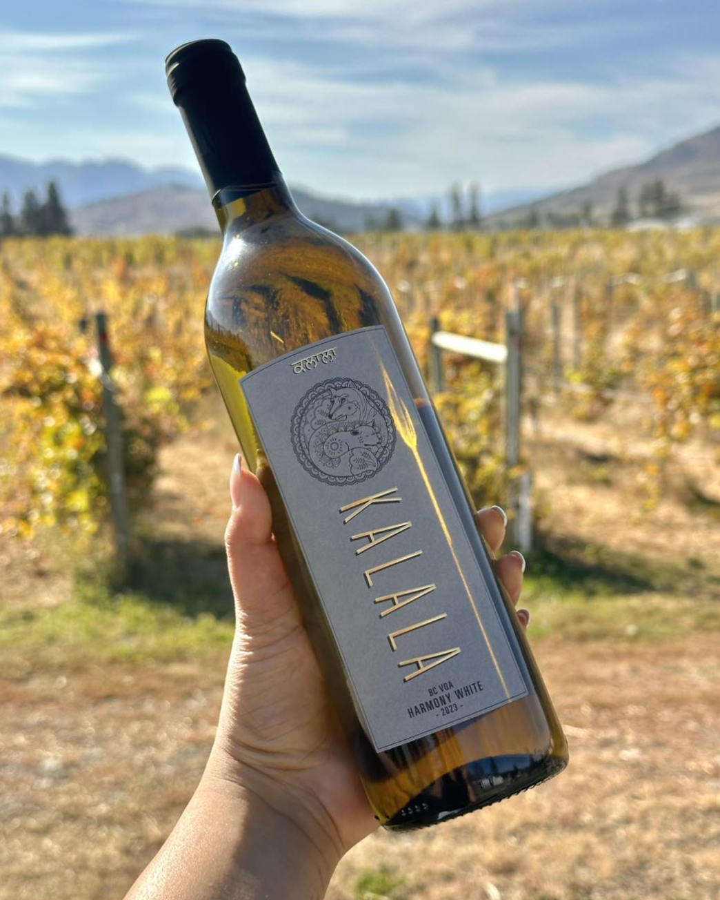 Screenshot 2026-02-09 at 11.06.22 am.png