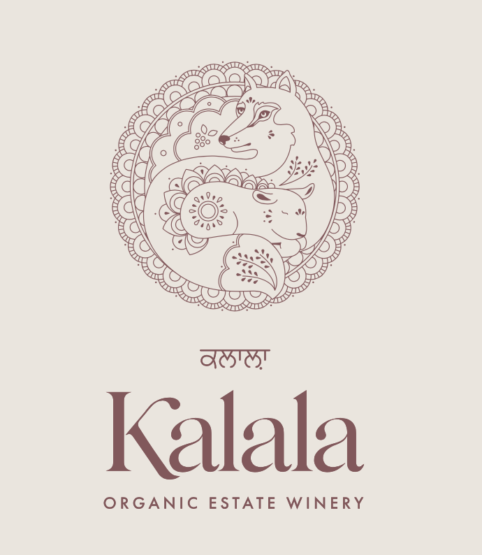 Screenshot 2026-02-09 at 11.10.46 am.png