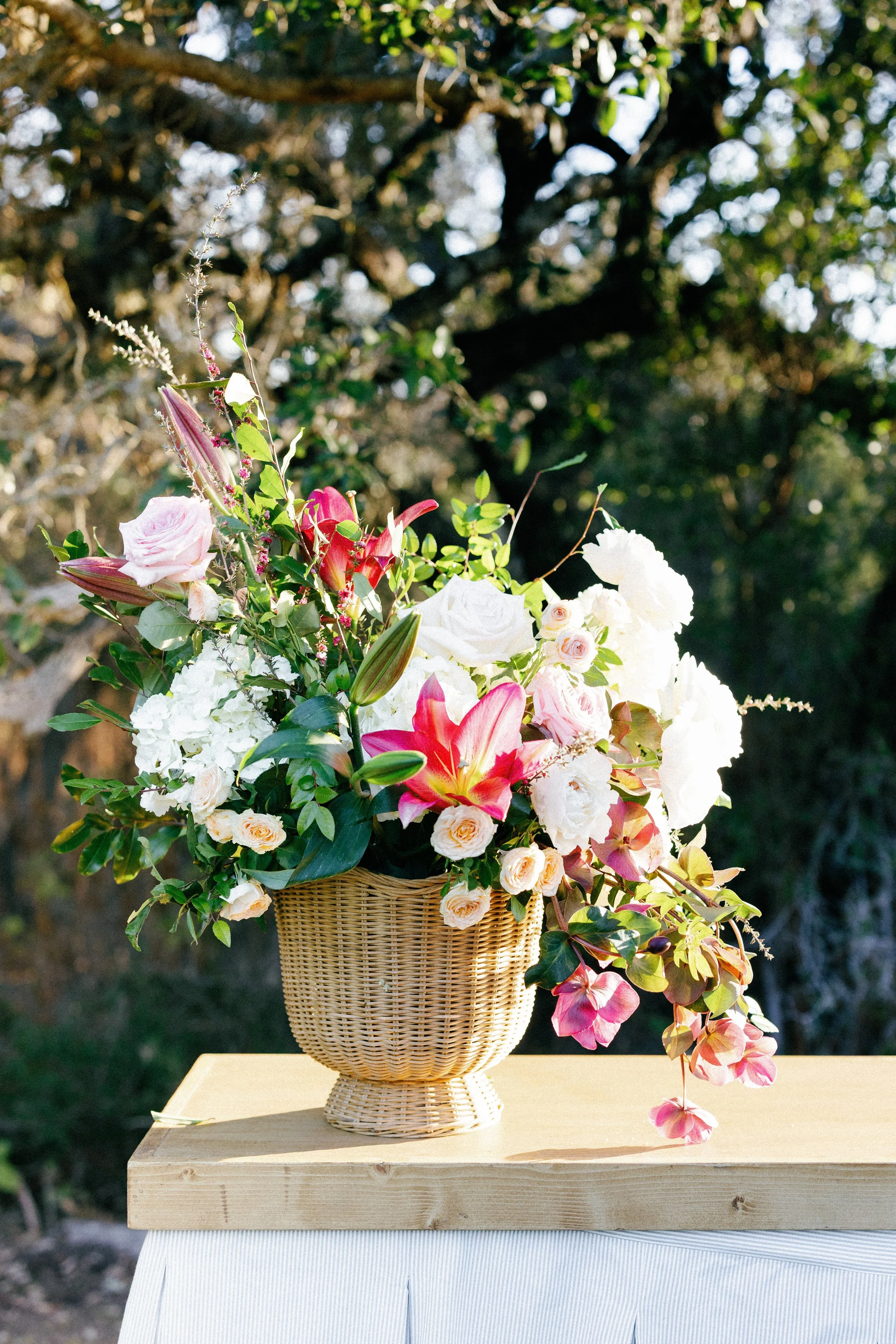 Jan 2026 Open House-37.jpg