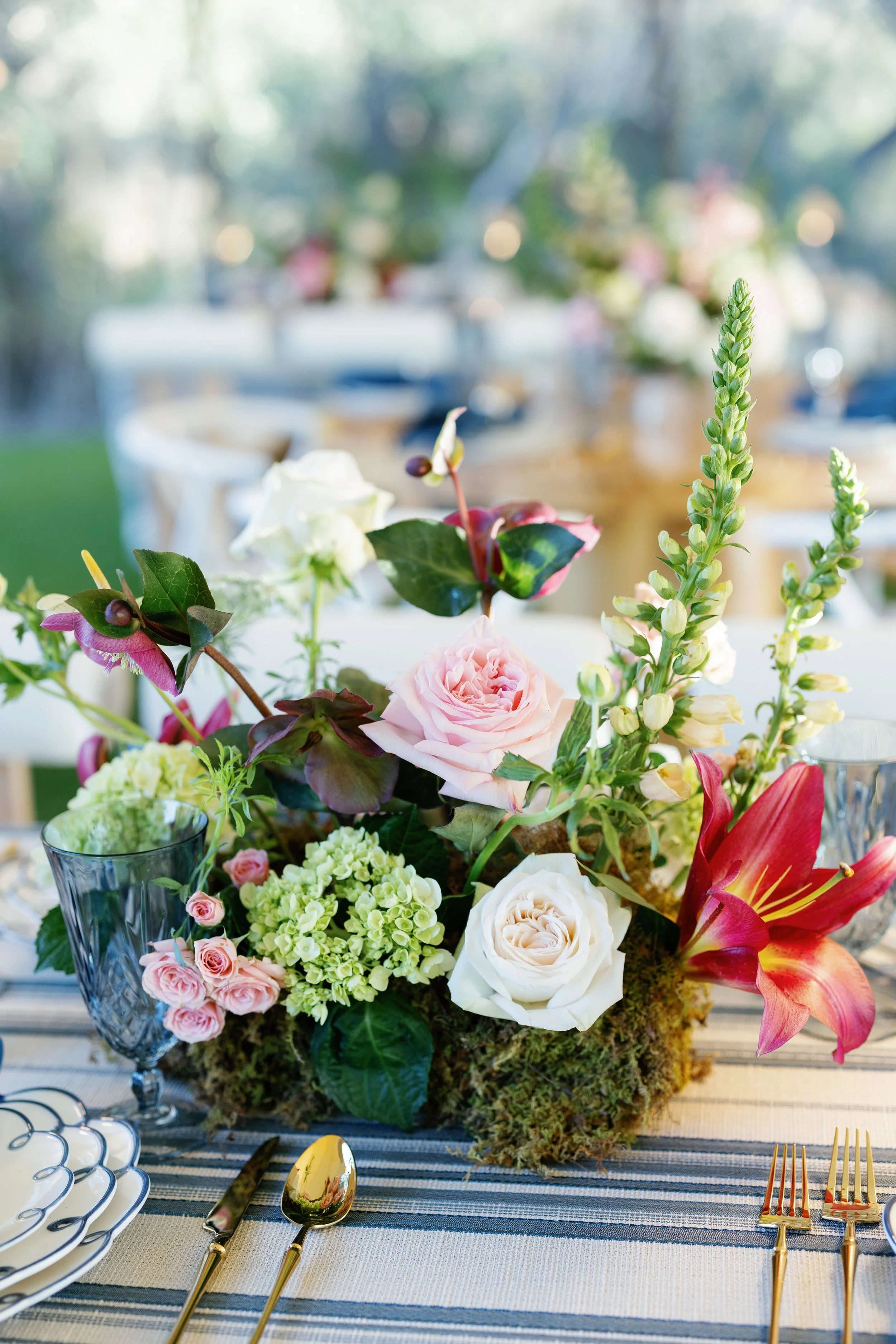 Camp Lucy 2026 Open House