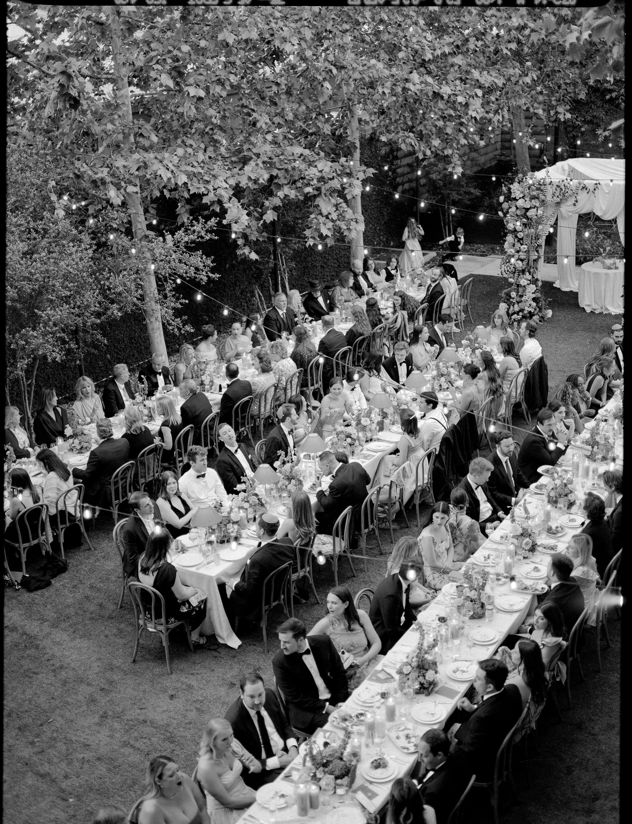 FILM-82.jpg