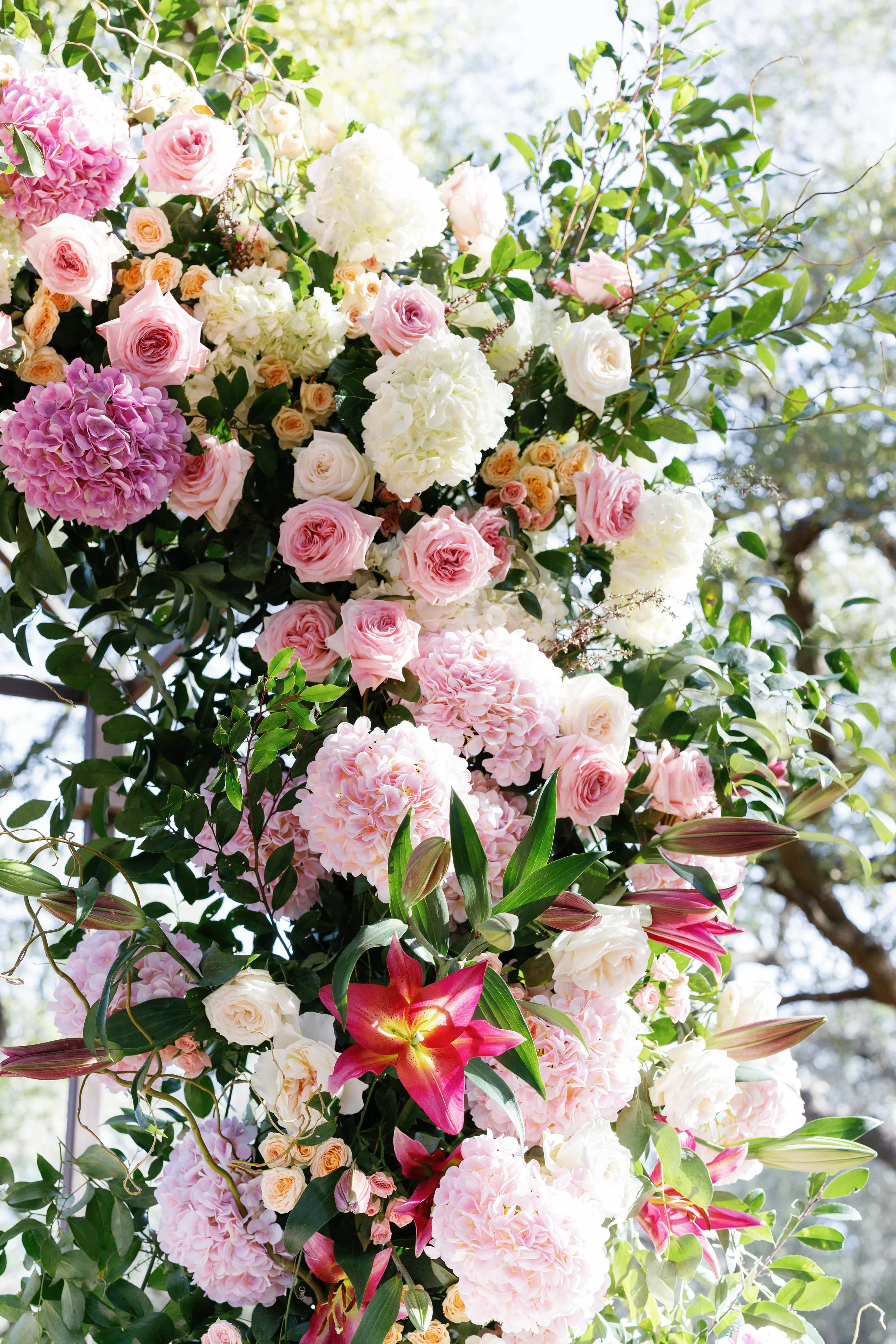 Jan 2026 Open House-197.jpg