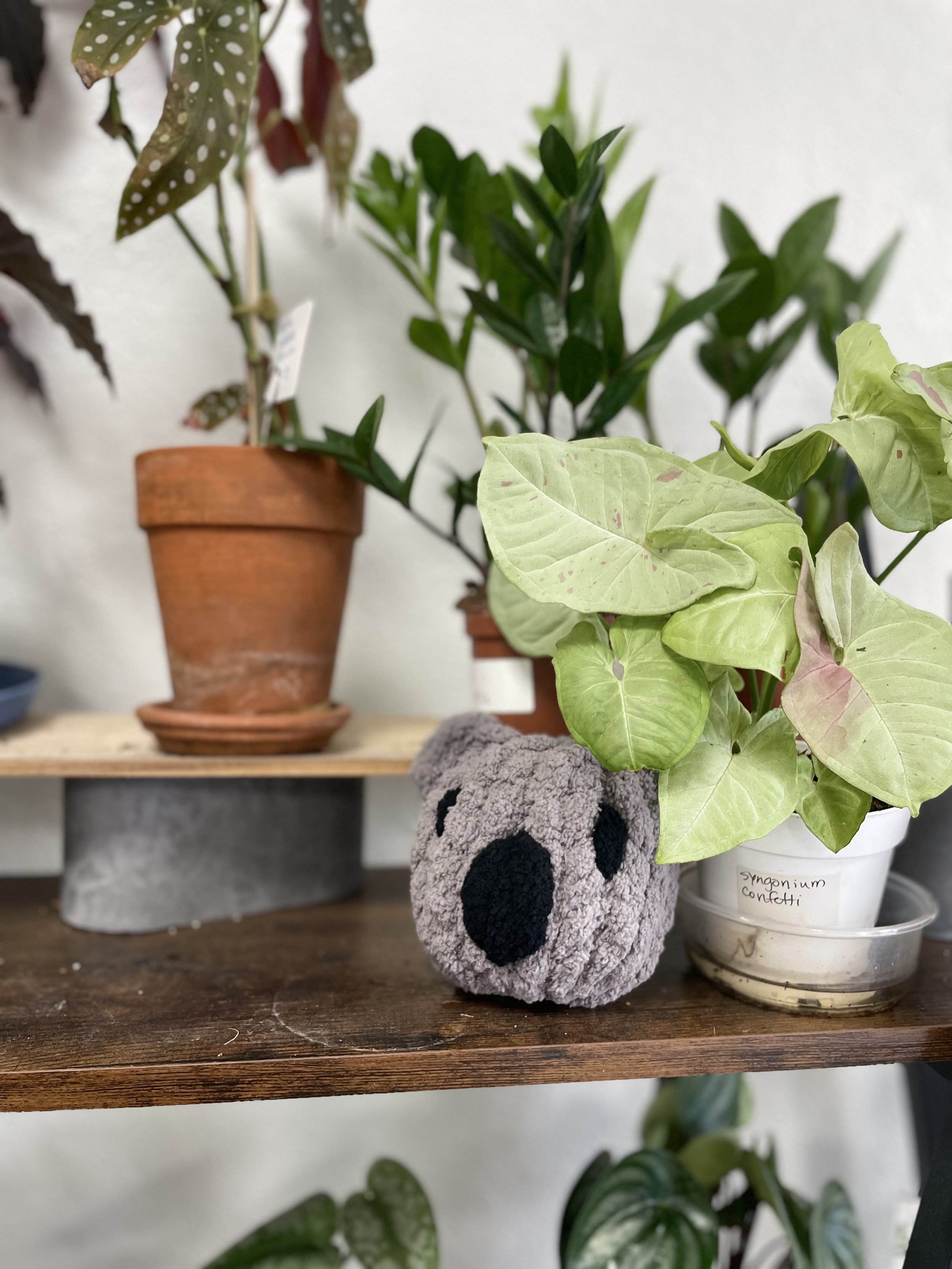 Finger Knit a Koala Head Stuffed Animal