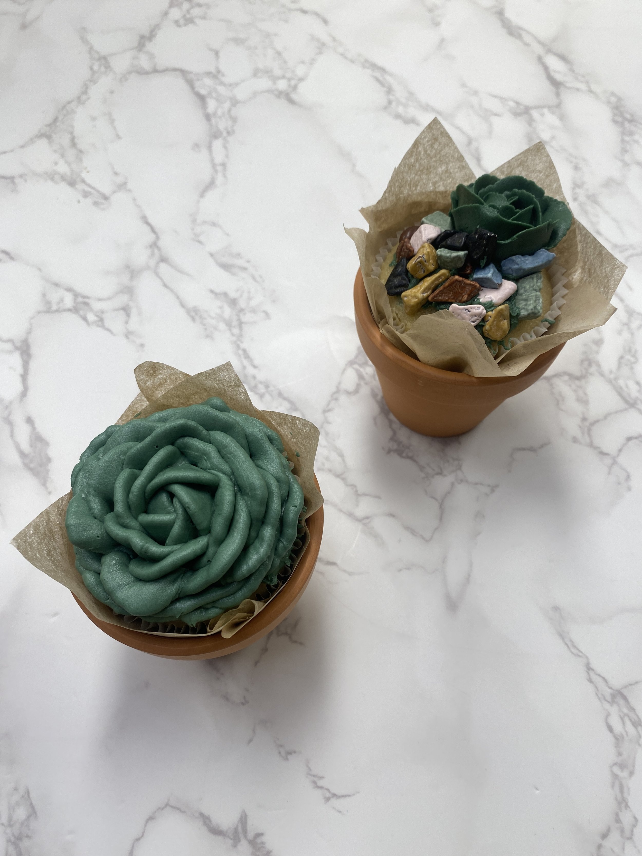 Cupcake Decorating - Botanicals