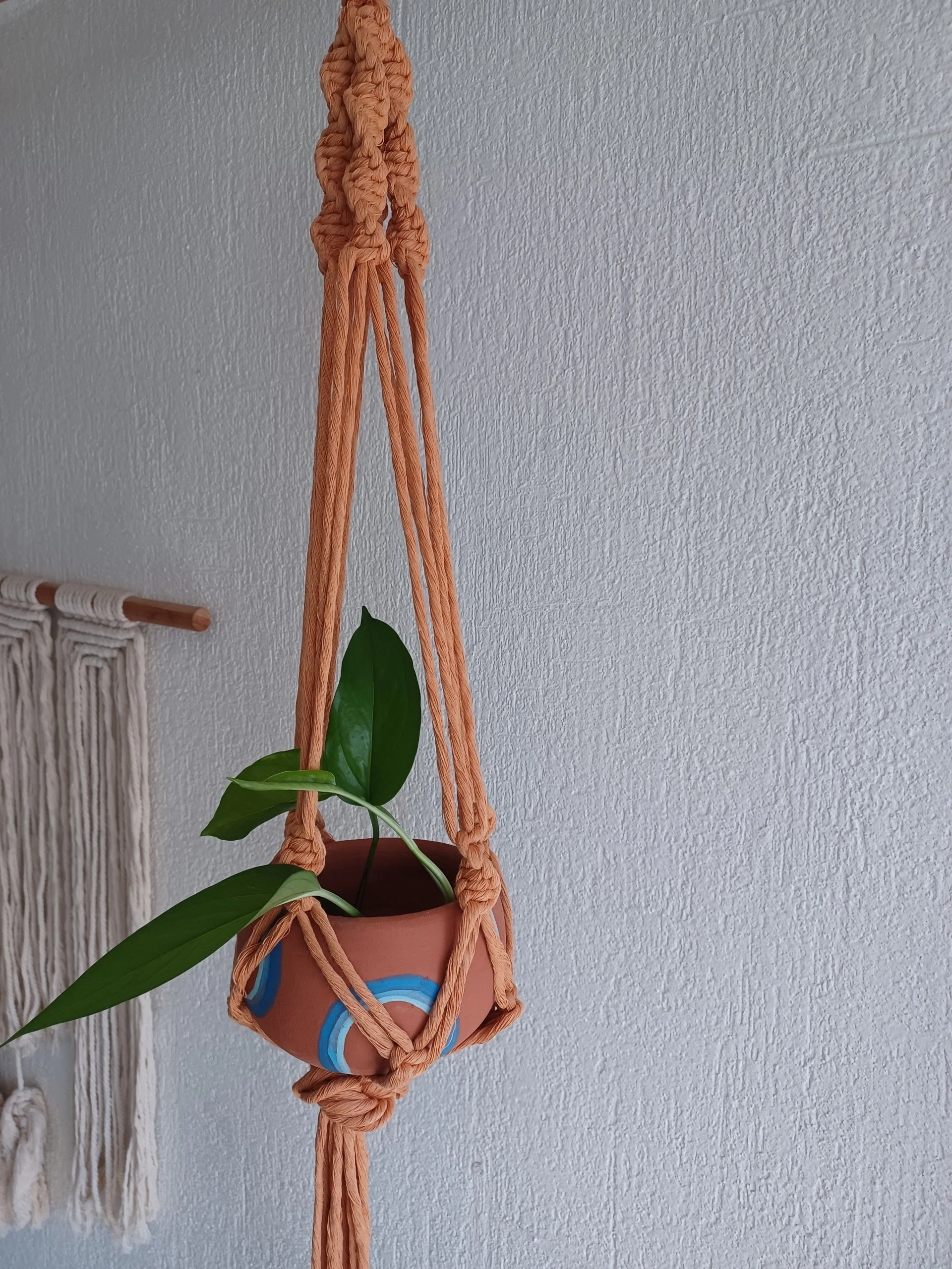 Macramé Hanger + Pot Painting Workshop (plant included)
