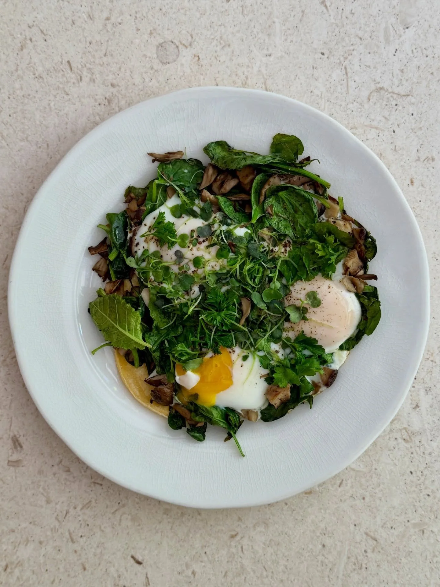 Easy like Saturday morning. 🍳🌞

Just a quick phone photo shoot peek into my moment right now. I cooked down. spinach, a chopped up mushroom medley, some eggs, parsley, scallion, and micro greens. Then, I slowly slid them off the pan and directly on