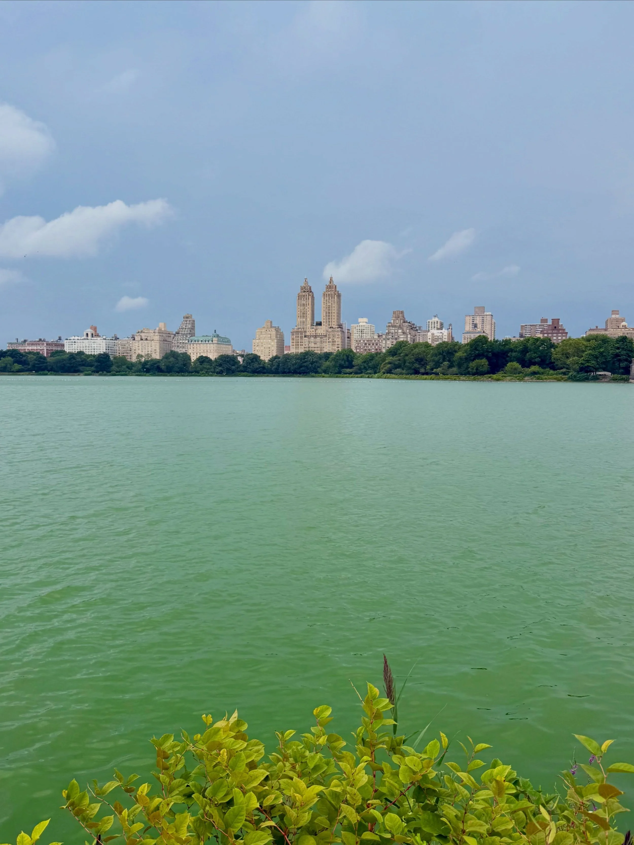 Have you ever seen the reservoir look beautifully green? 💚

#centralpark #reservoir #nyc #nyclocal #jkoreservoir