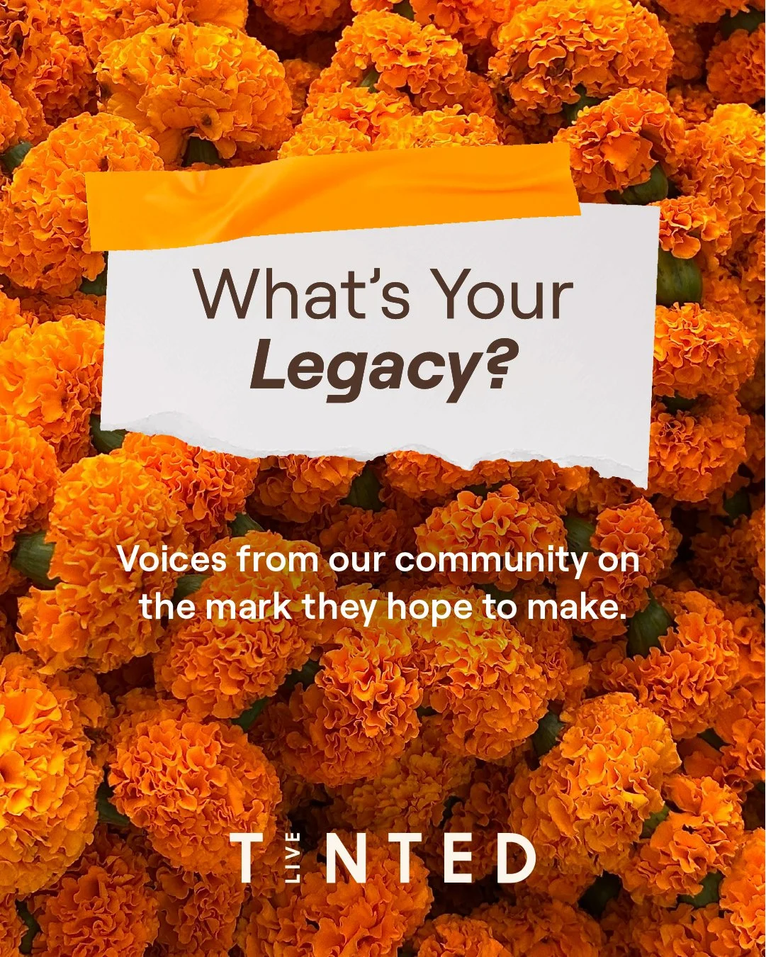 CommunityLegacy_SocialAsset_1.jpg