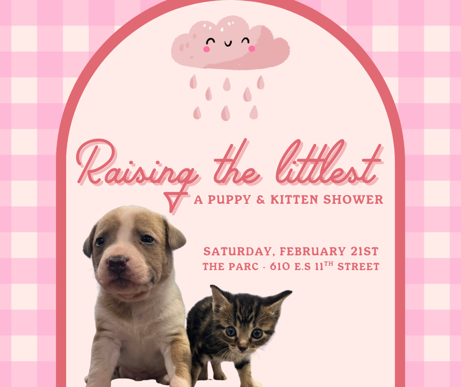 Puppy & Kitten Shower