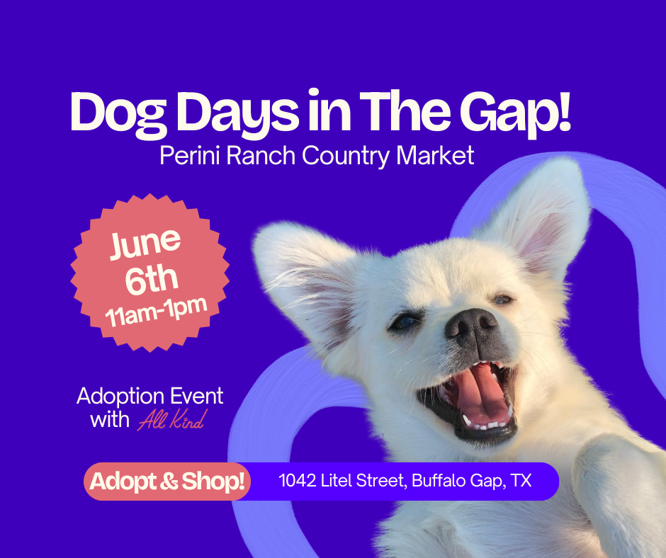Dog Days: Perini Ranch Adoption Event!