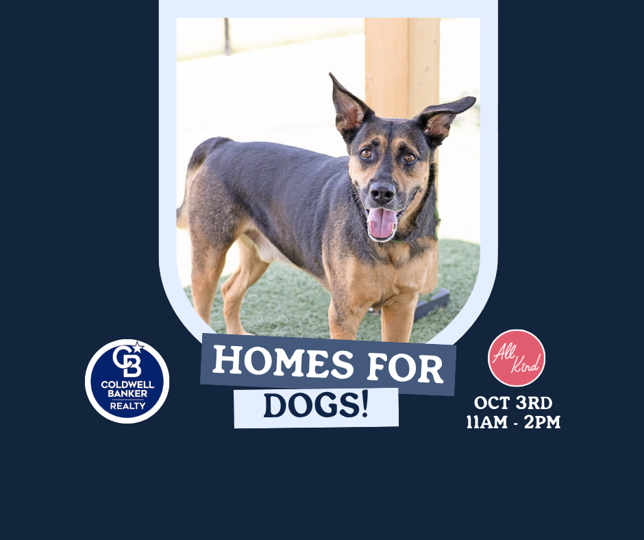 Homes For Dogs!