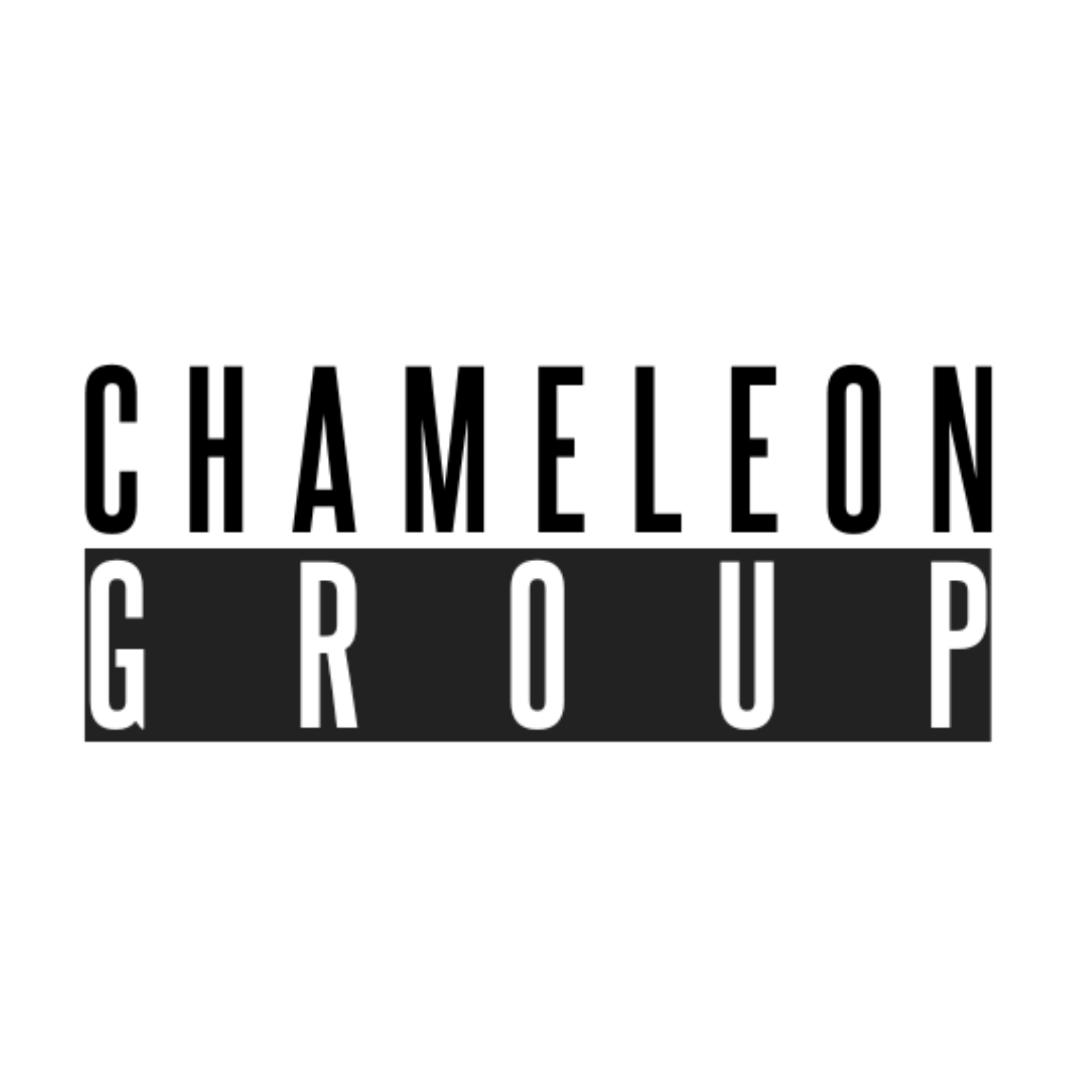 About Us — CHAMELEON GROUP