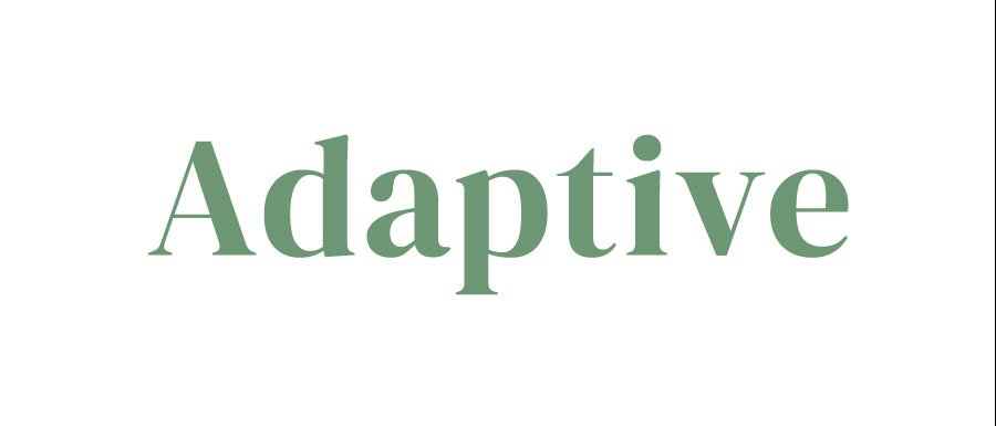 adaptive logo.jpeg