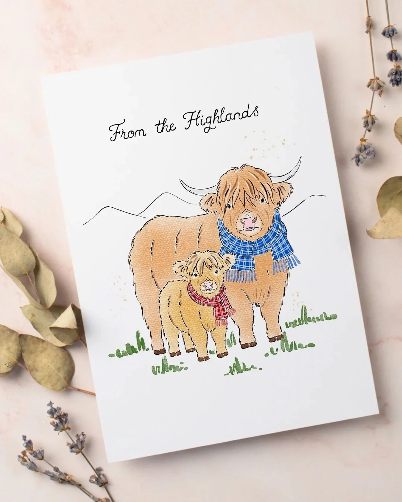 A little Highland cow duo, wrapped up in tartan and inspired by the Scottish countryside 🐮🏴󠁧󠁢󠁳󠁣󠁴󠁿 #HighlandCow #ScottishHighlands #animalpainting #cowillustration #highlandcows