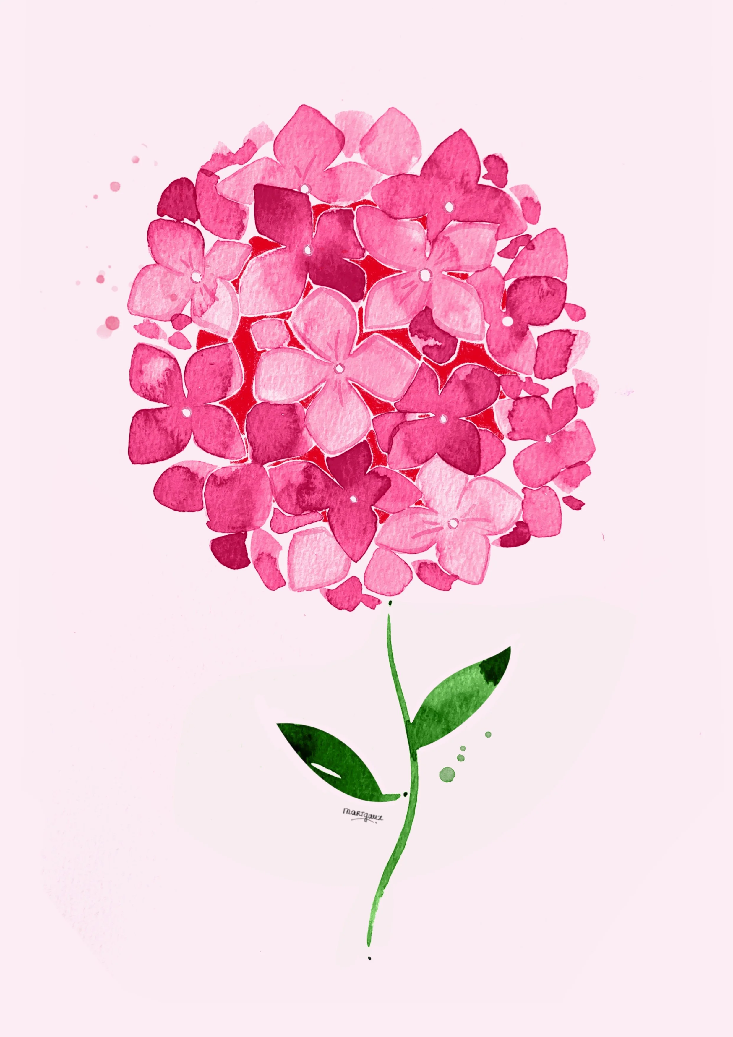 Watercolor illustration of a pink hydrangea flower with green leaves and stem on a light pink background.