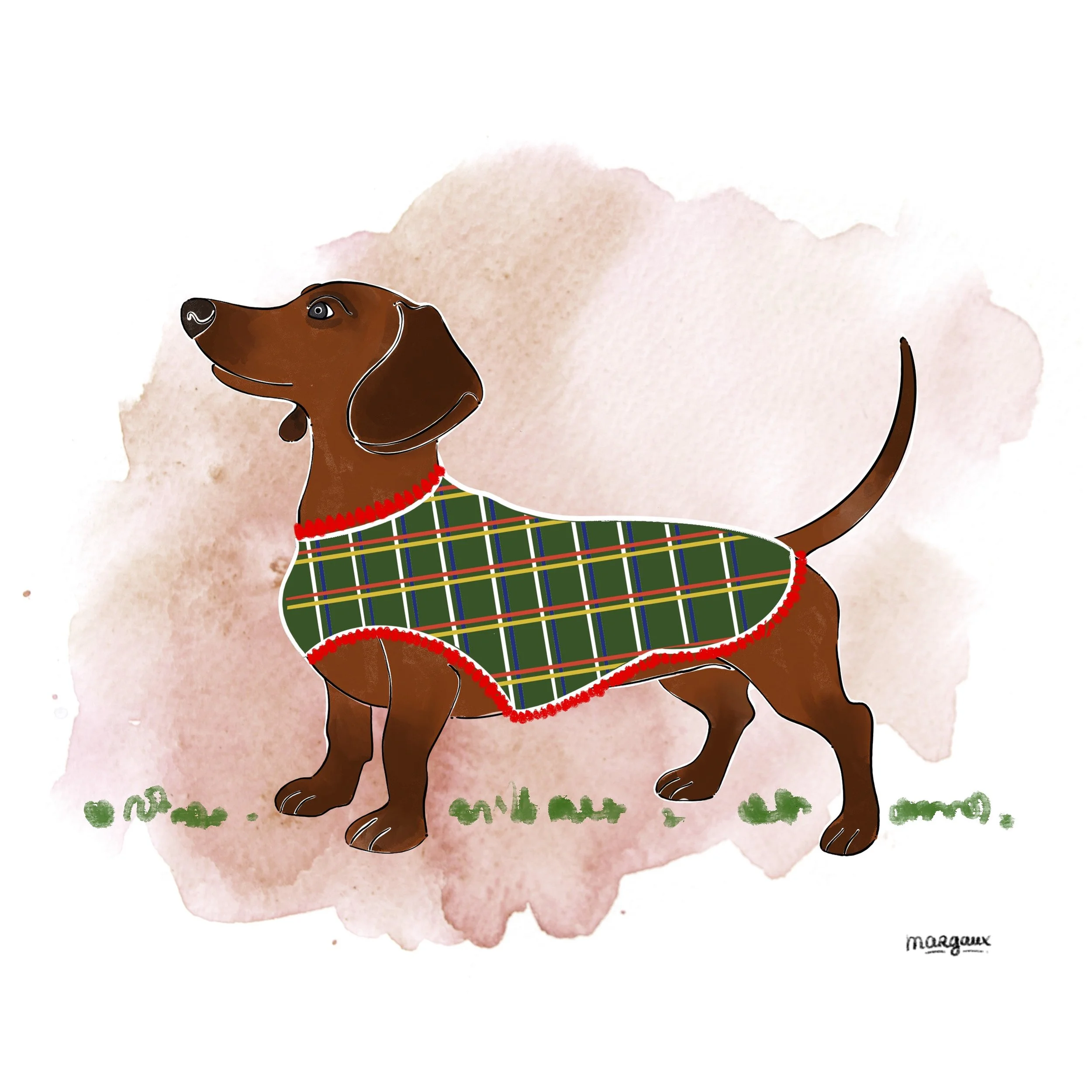 Illustration of a brown dog with a red and green plaid coat and a red collar, standing on a patch of grass with a pink watercolor background.