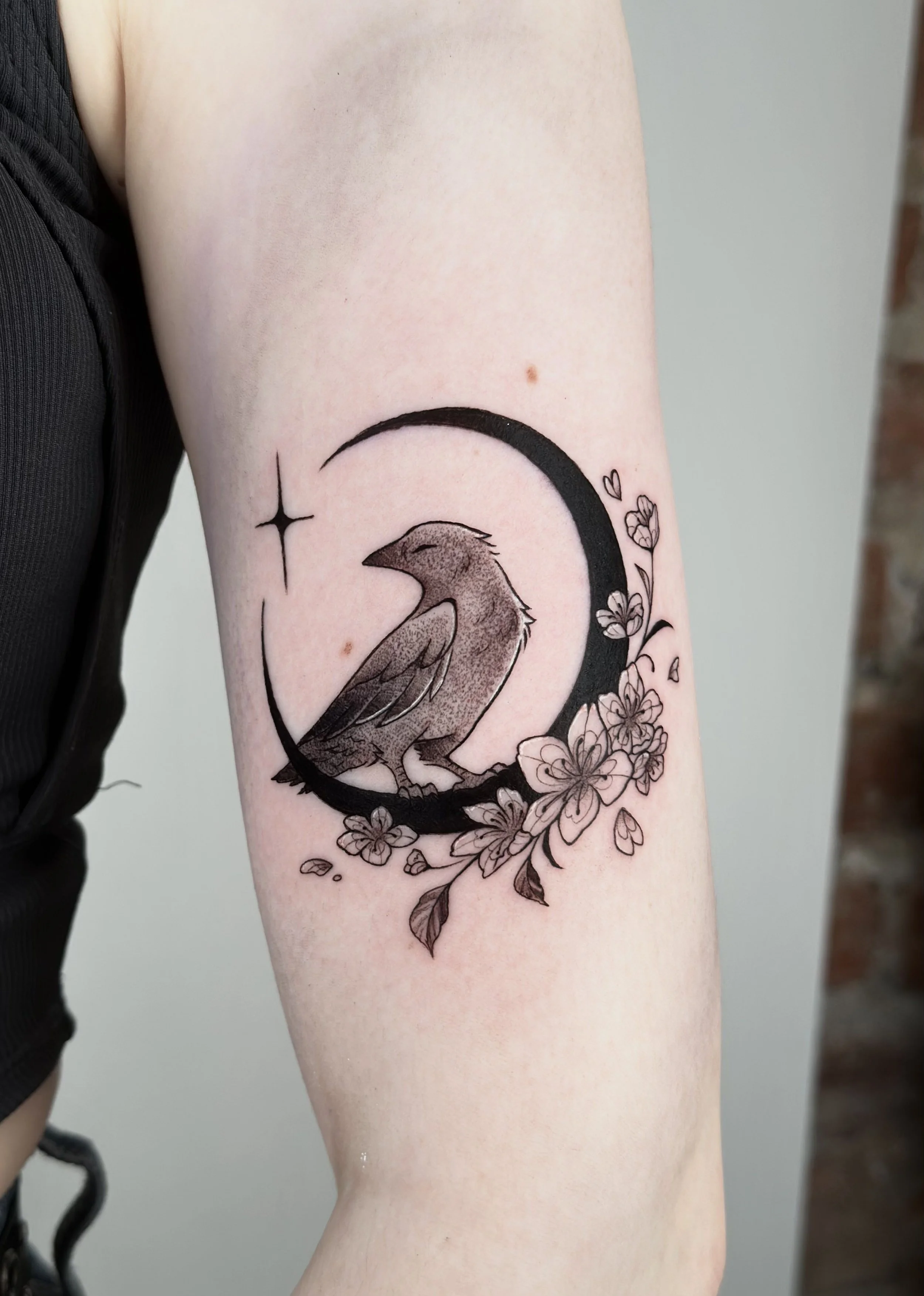 crow on moon.jpg