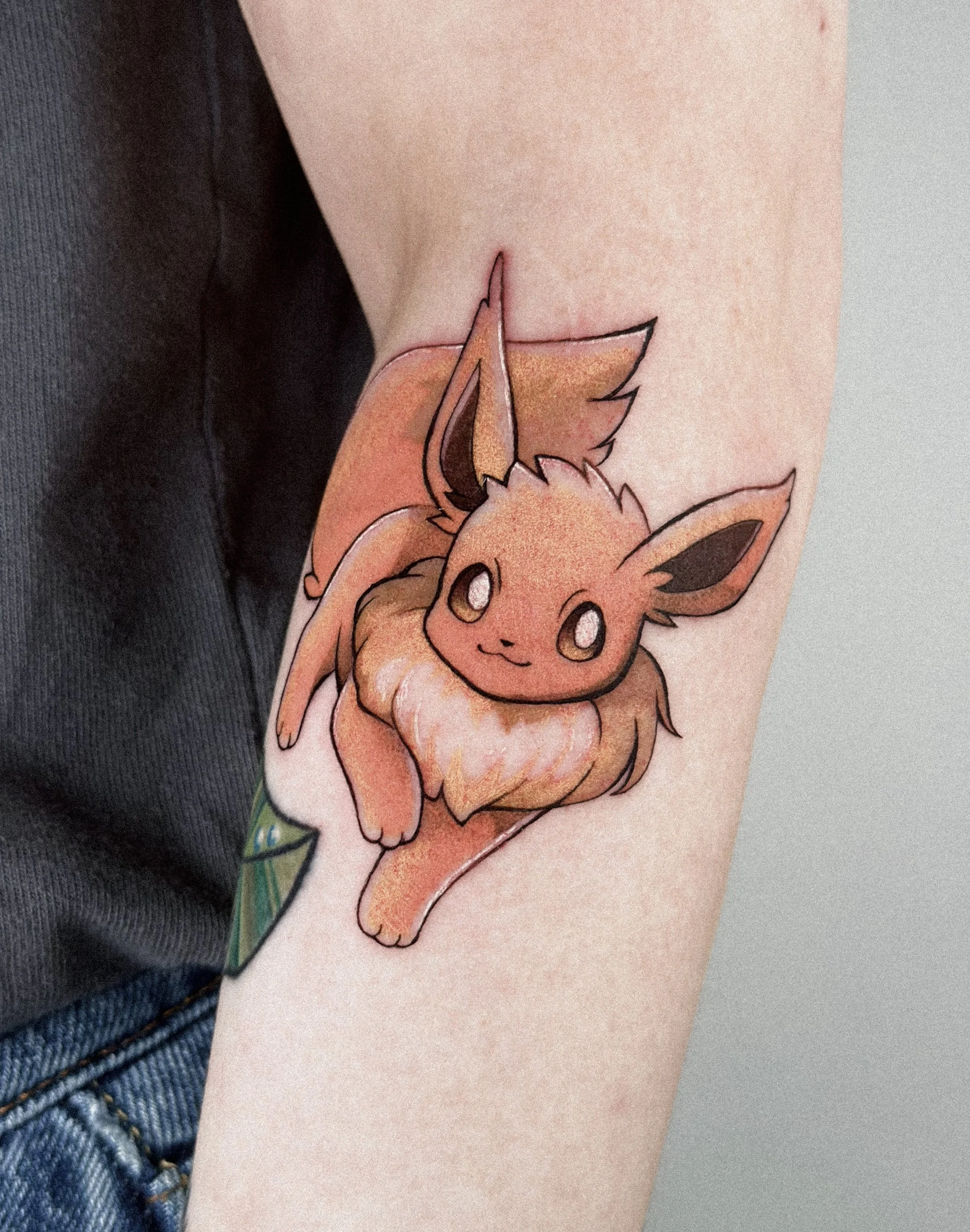 eevee color.jpg