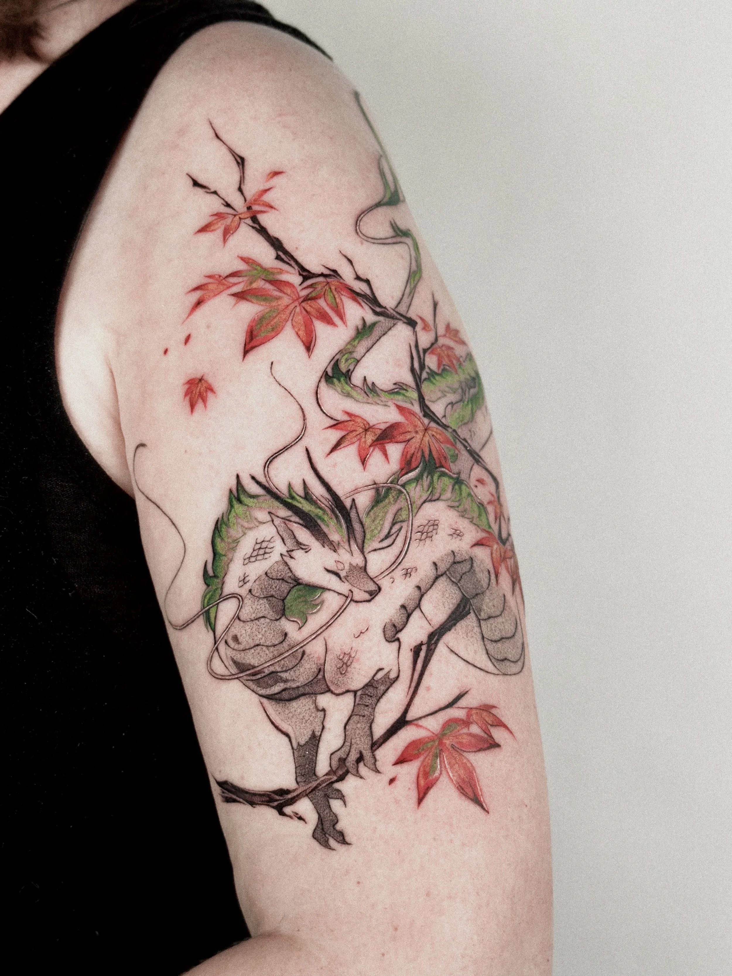 japanese maple haku.jpg