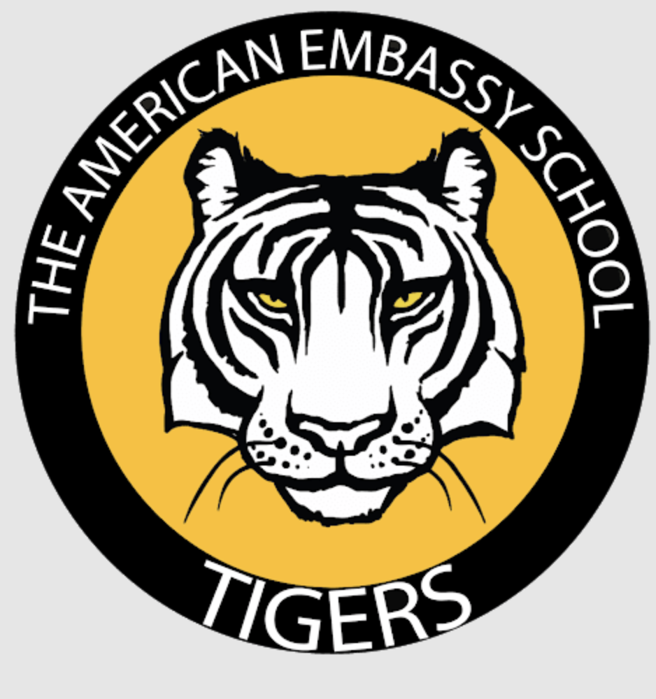 How Central Music Institute (CMI) Powers Next-Generation Arts Education at American Embassy School