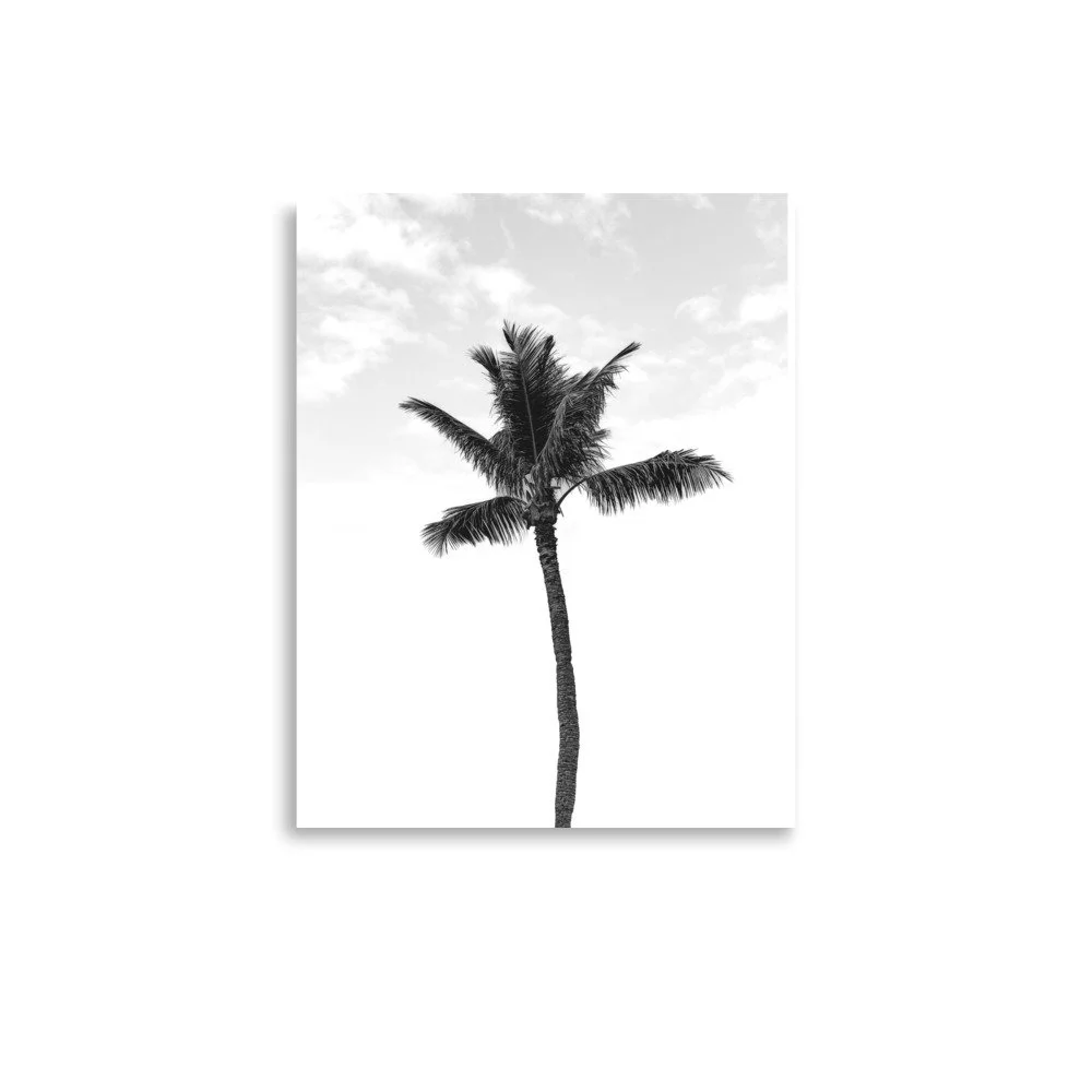 enhanced-matte-paper-poster-(in)-11x14-front-665003485e0a8.jpg