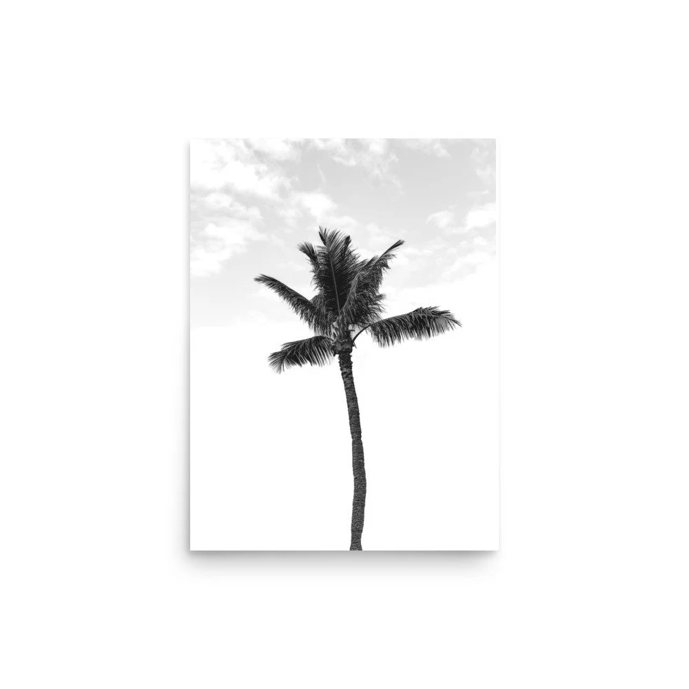enhanced-matte-paper-poster-(in)-12x16-front-665003485f0ce.jpg