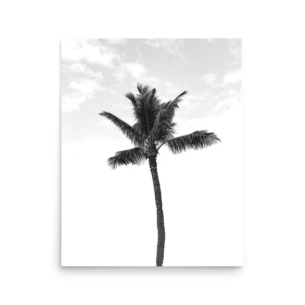 enhanced-matte-paper-poster-(in)-16x20-front-665003485f249.jpg