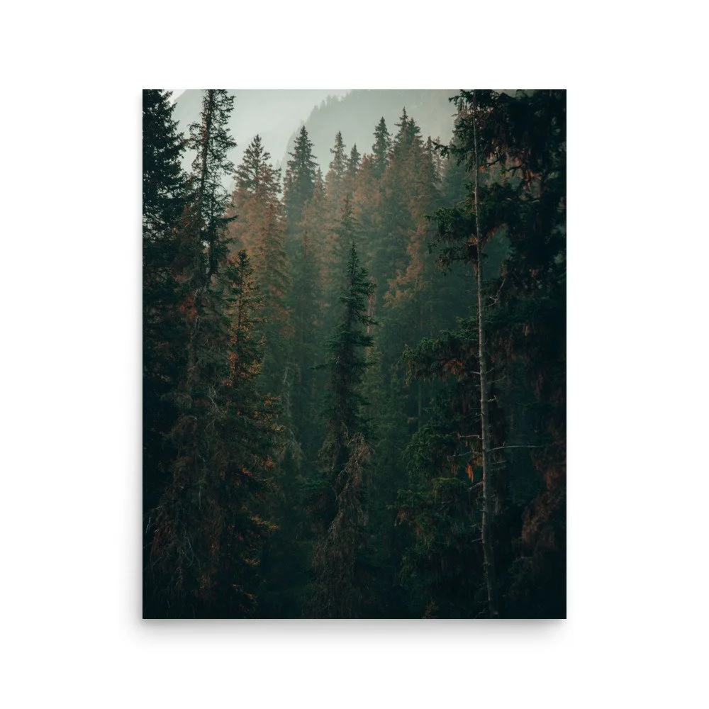 enhanced-matte-paper-poster-(in)-16x20-front-66528dabe19e7.jpg
