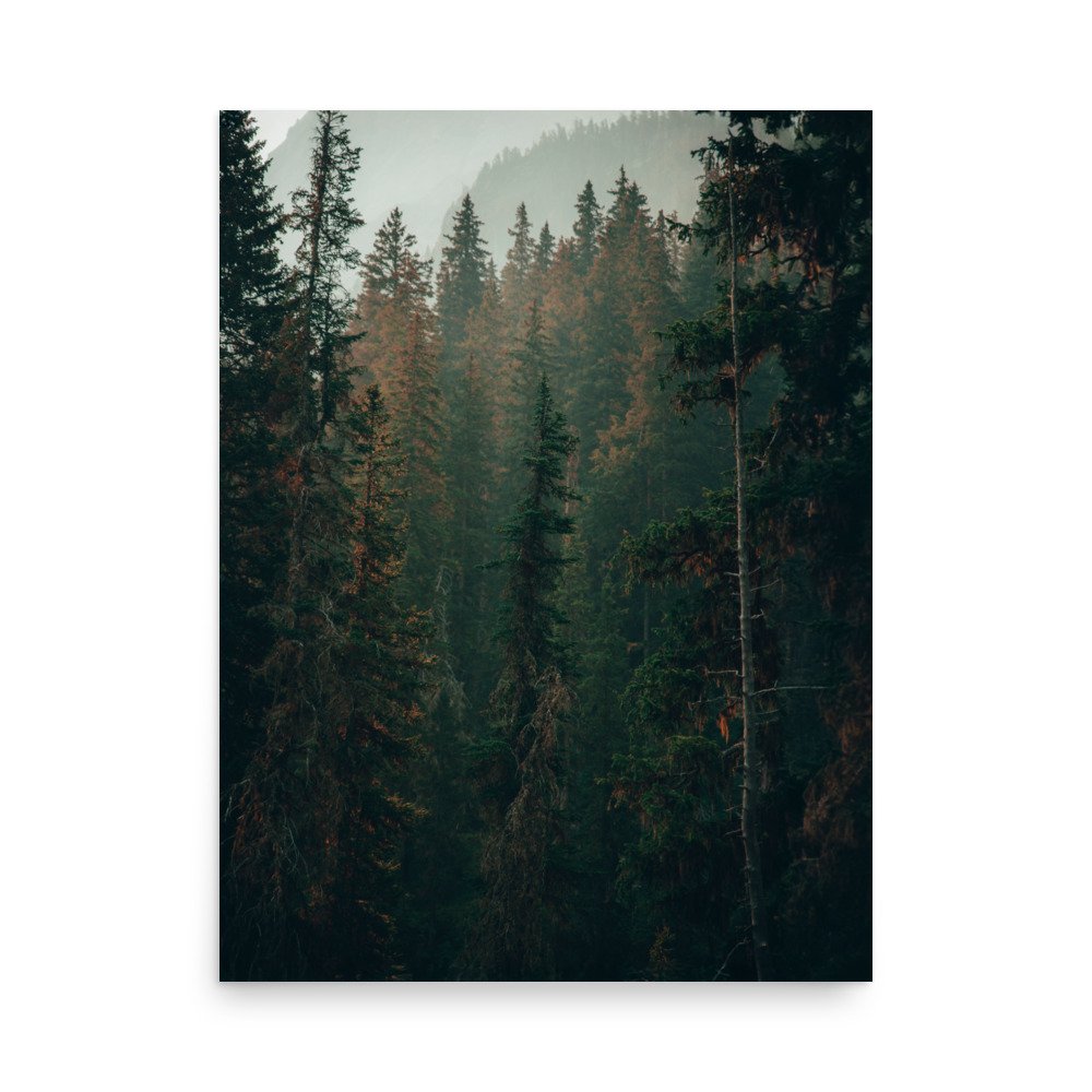 enhanced-matte-paper-poster-(in)-18x24-front-66528dabe1b12.jpg