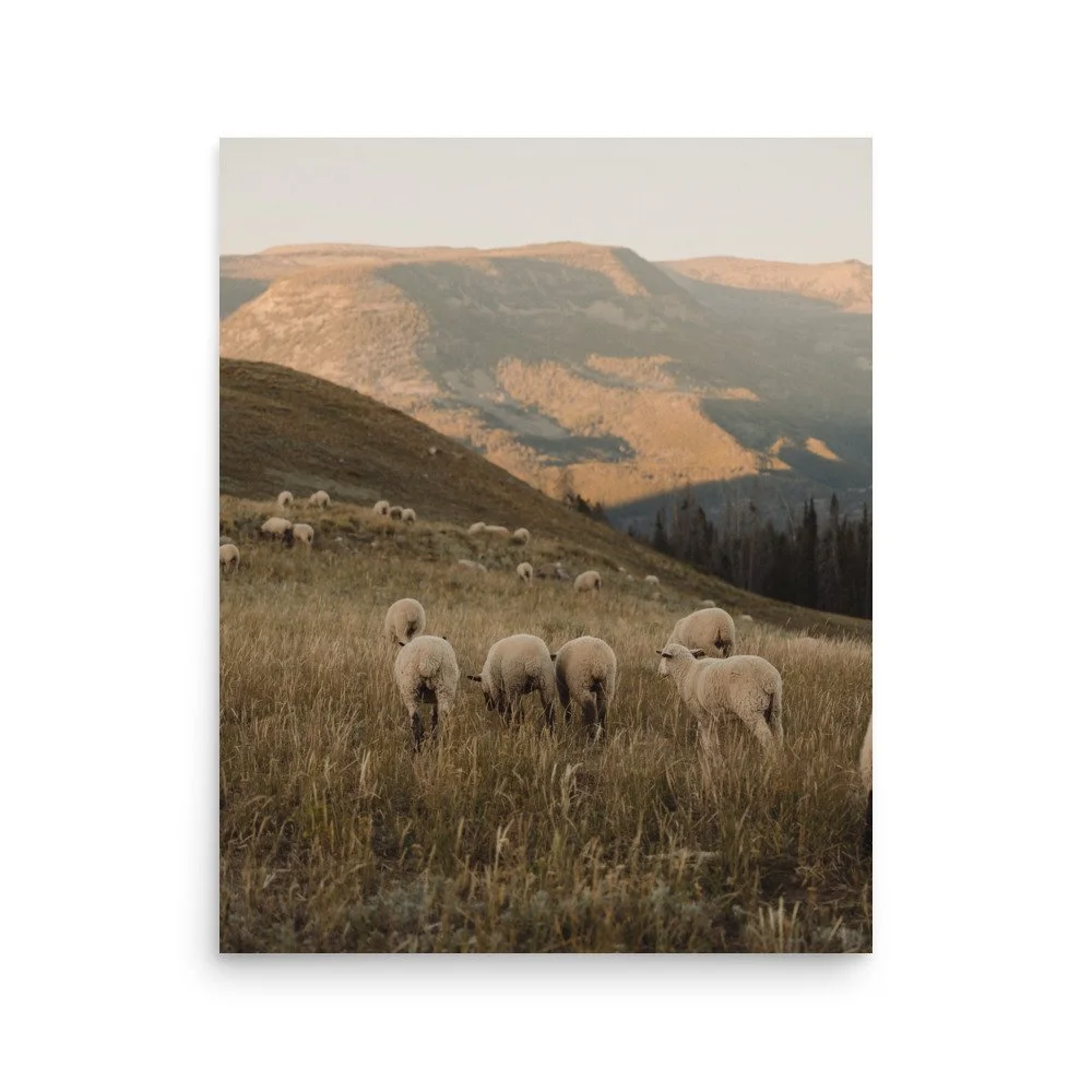 enhanced-matte-paper-poster-(in)-16x20-front-66529a321d0e6.jpg