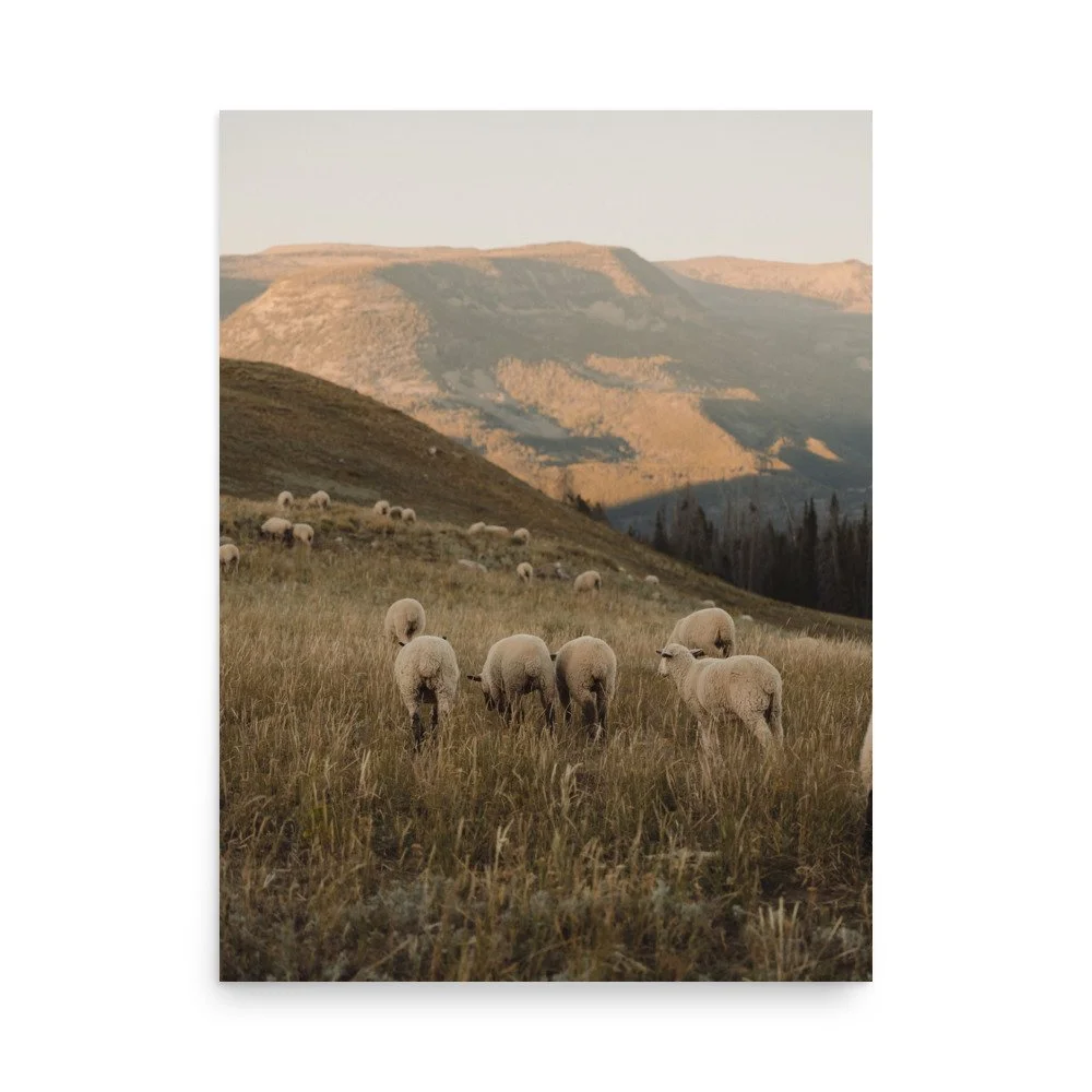 enhanced-matte-paper-poster-(in)-18x24-front-66529a321d207.jpg