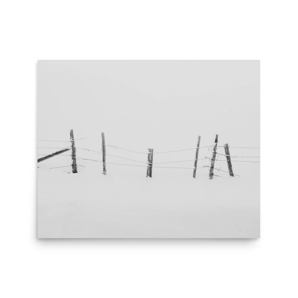 enhanced-matte-paper-poster-(in)-16x20-front-66529e99775c5.jpg