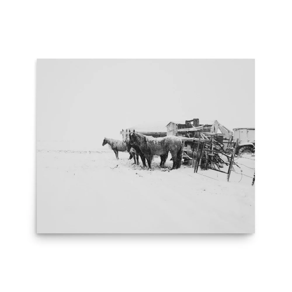 enhanced-matte-paper-poster-(in)-16x20-front-6652a5f0bf18a.jpg