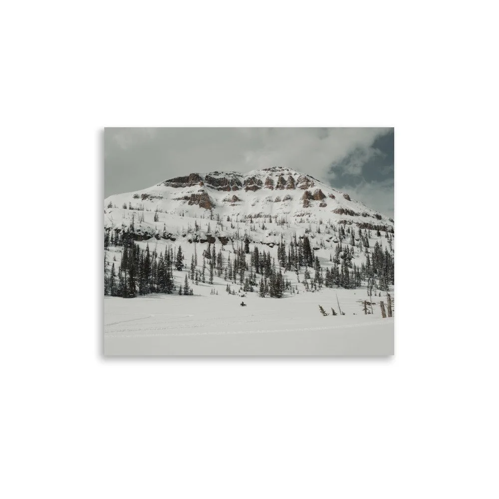 enhanced-matte-paper-poster-(in)-11x14-front-6652a79de8e56.jpg