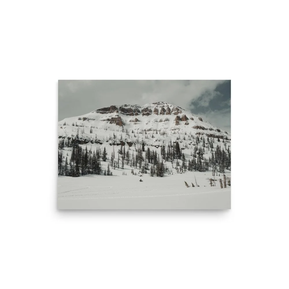 enhanced-matte-paper-poster-(in)-12x16-front-6652a79de9d58.jpg