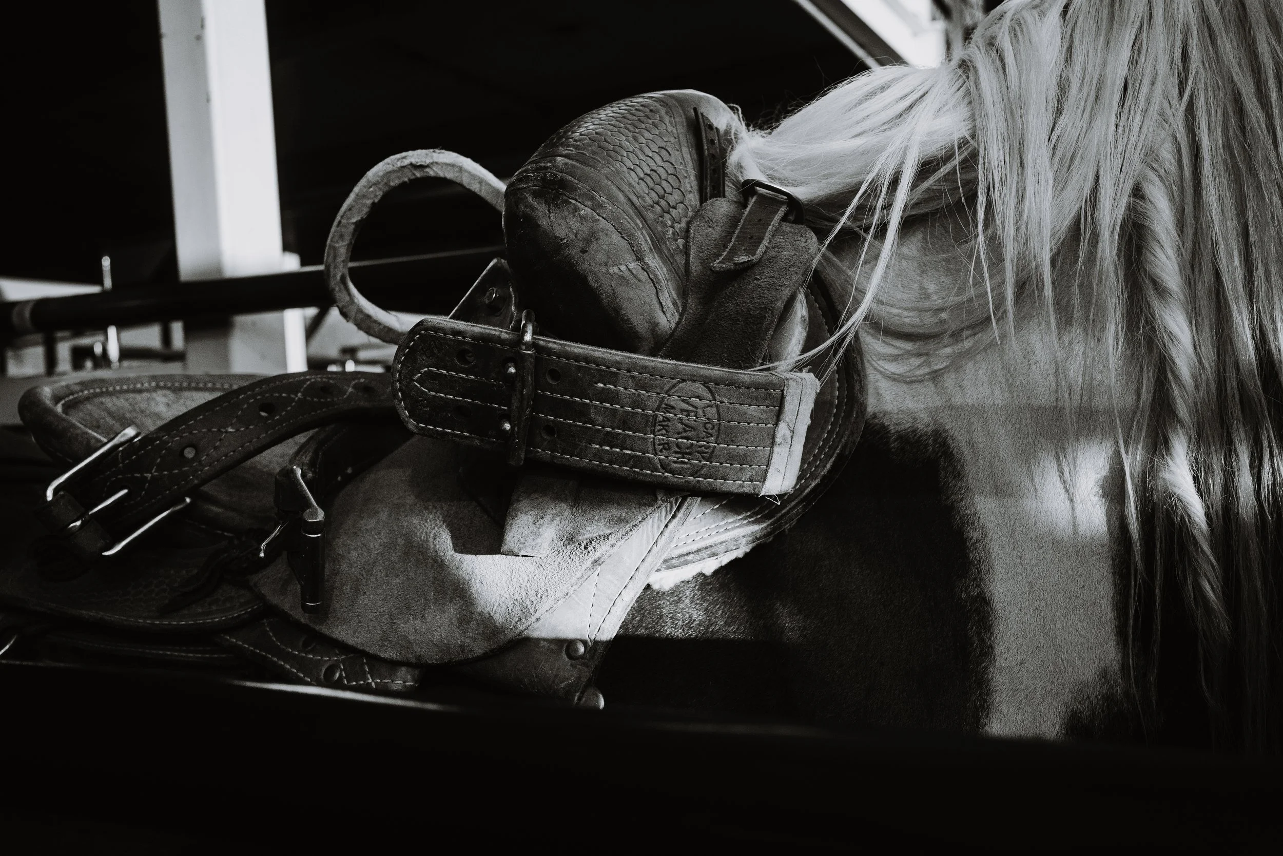 Rodeo-23.jpg