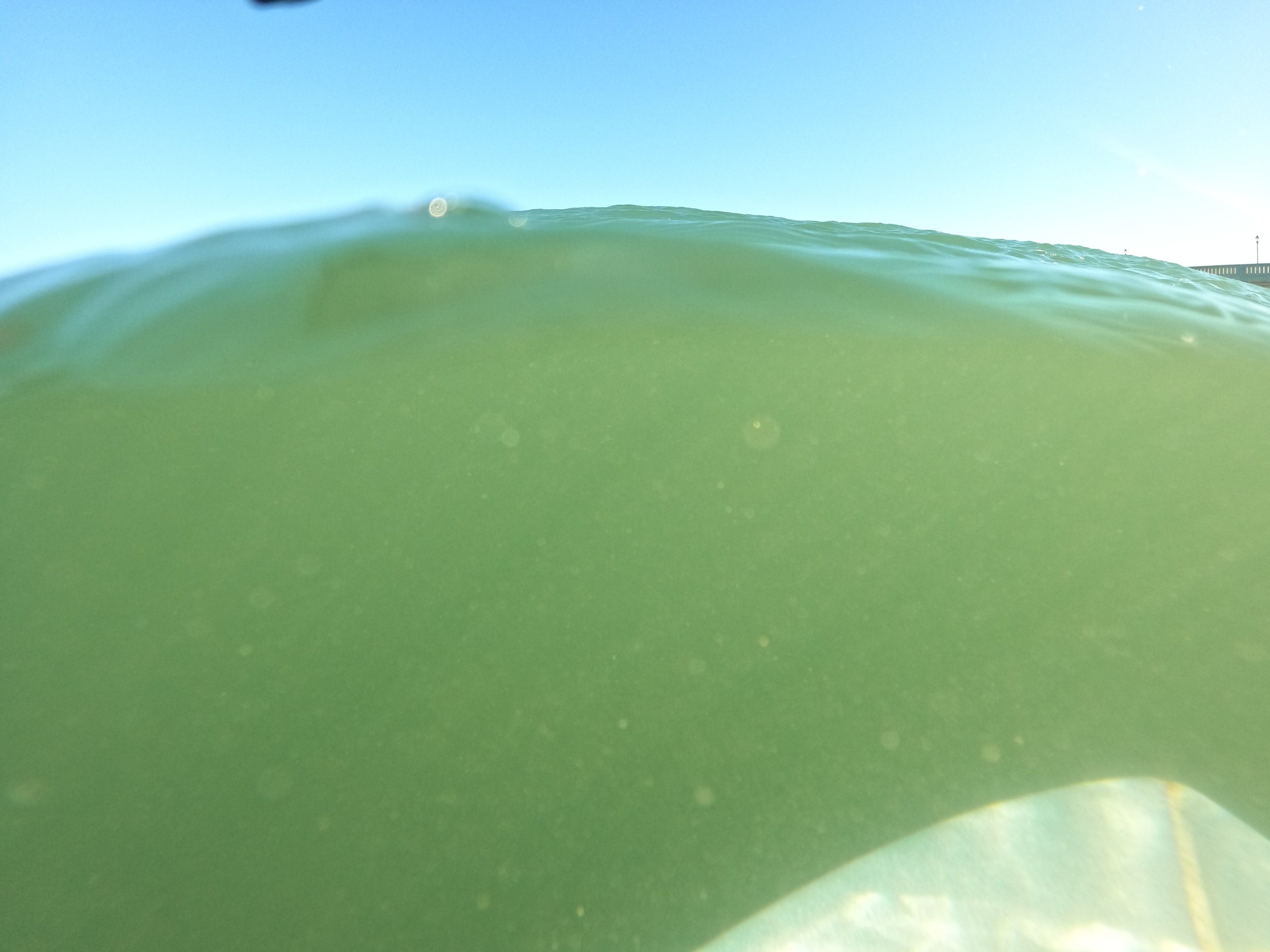 Perspective is about understanding what you can see above - and being curious to know what lurks beneath.