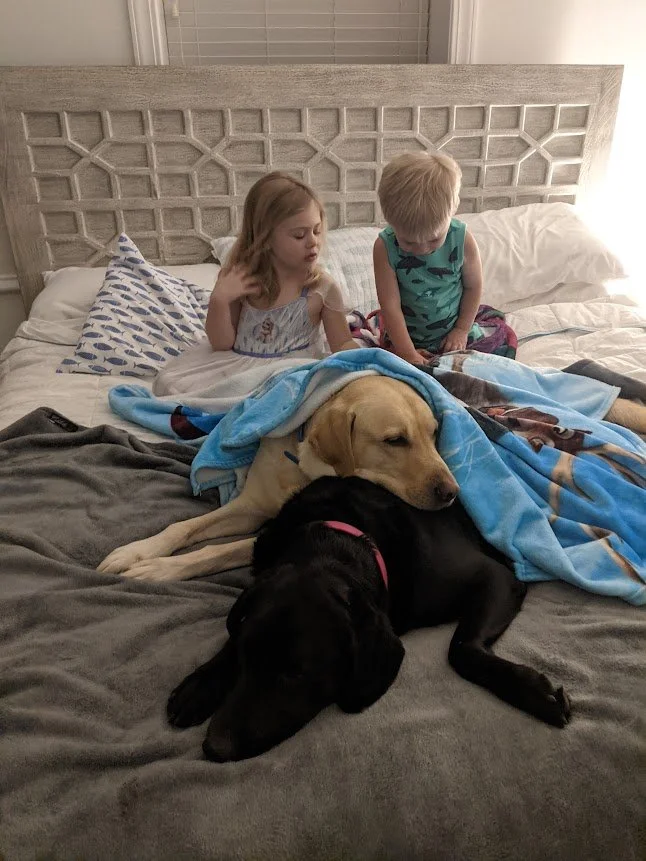 Trying to figure out where my spot in the bed is - my daily UX Challenge.